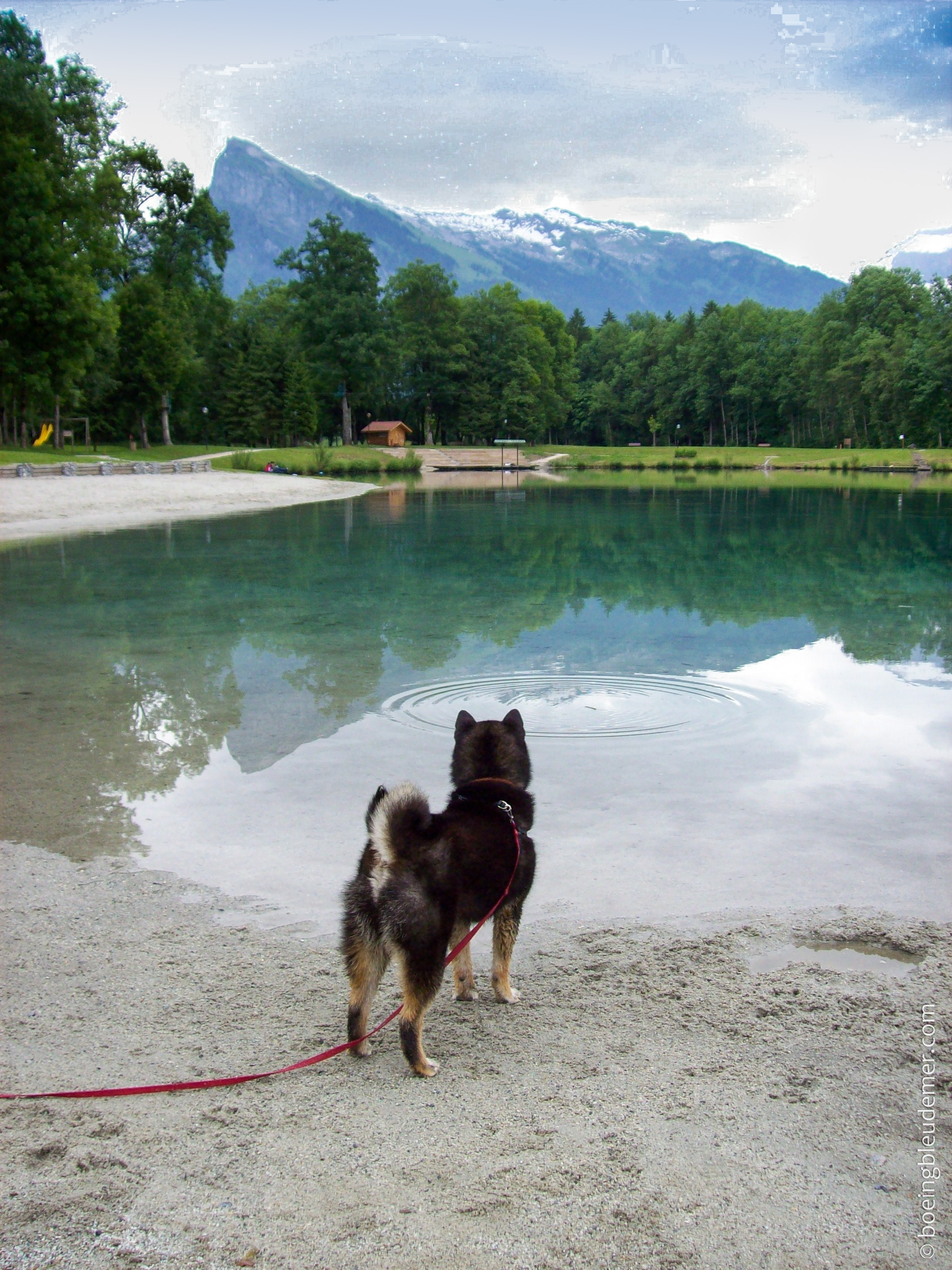 Akira au lac Bleu à Samoëns