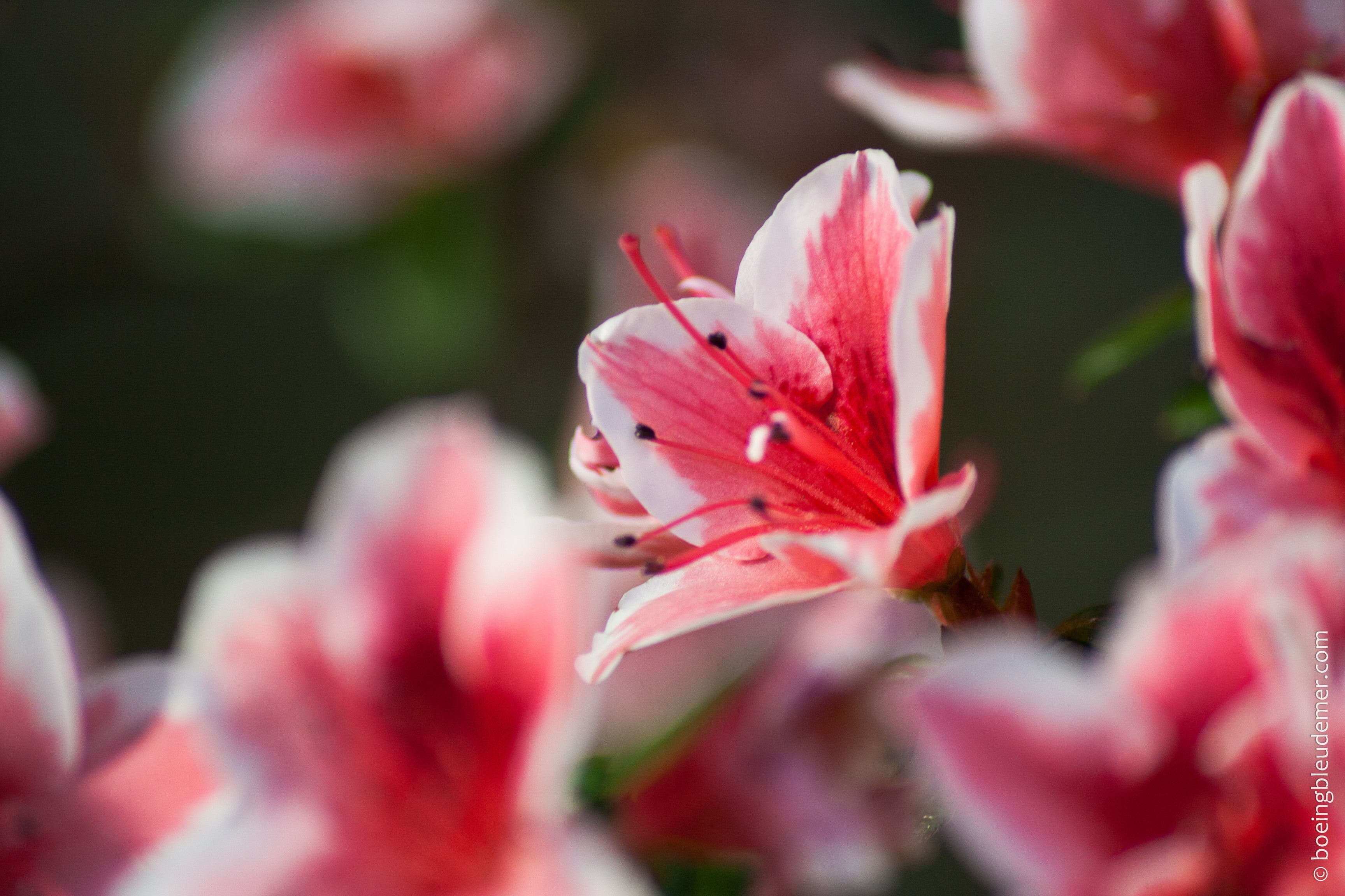 Brèves de la fin de semaine