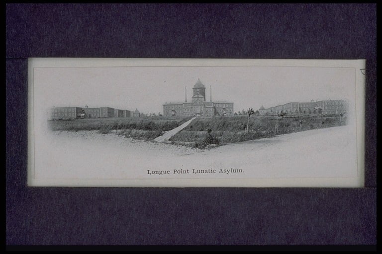 L'Hôpital Louis-H. Lafontaine - Longue Point Lunatic Asylum