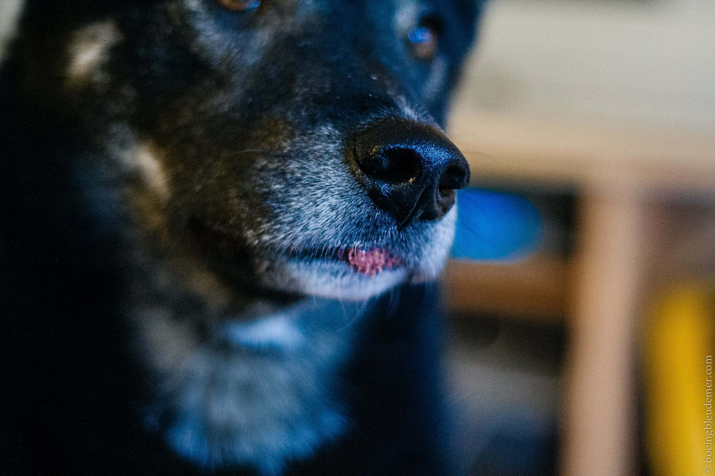 Akira a bu un smoothie