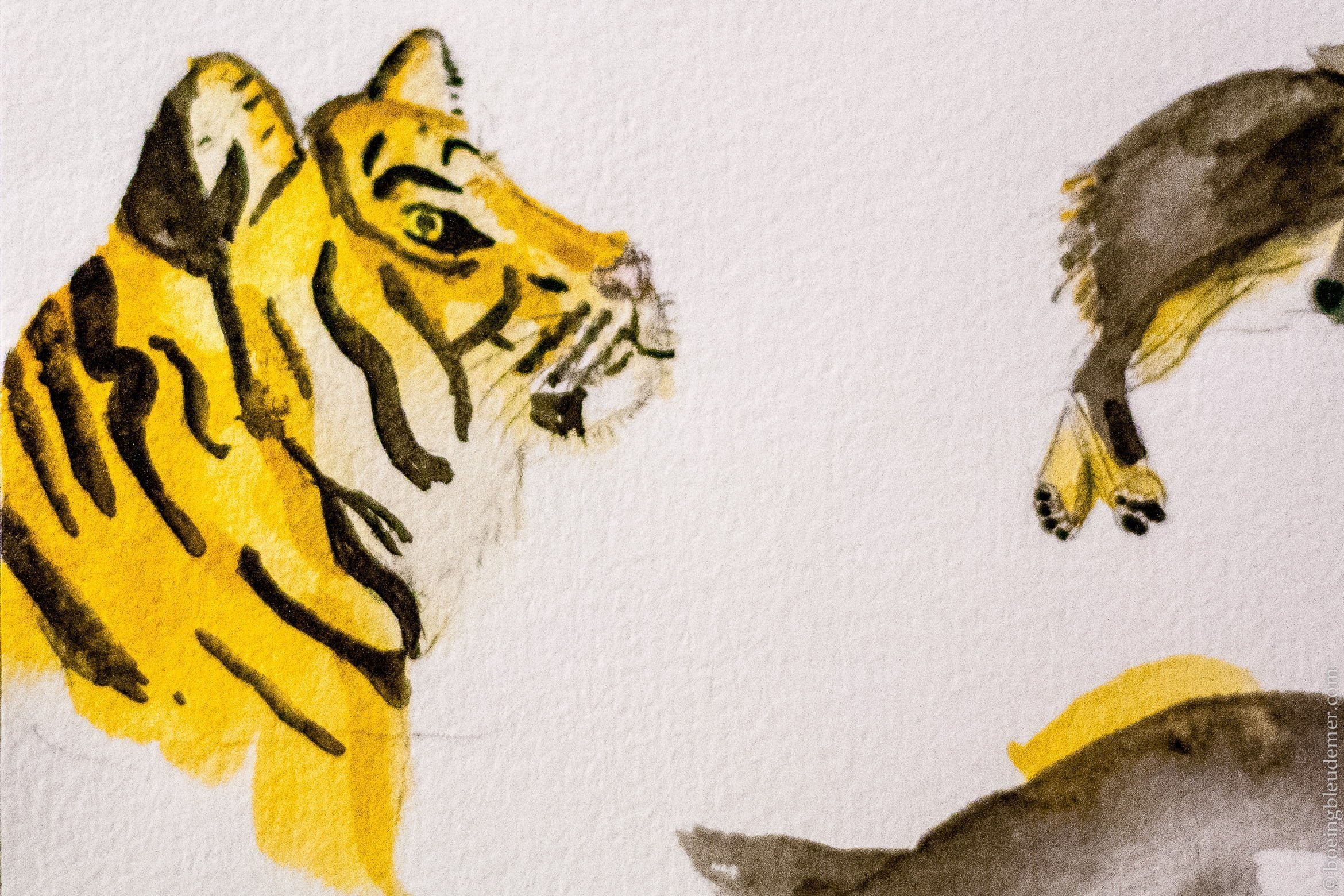 Esquisse d'un tigre à l'aquarelle