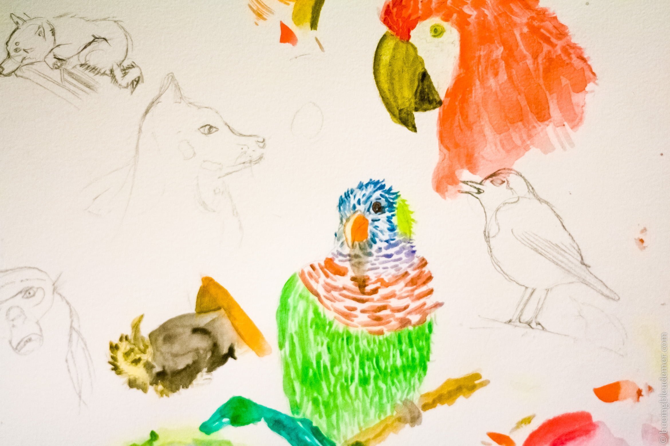 Esquisses à l'aquarelle Winsor Newton