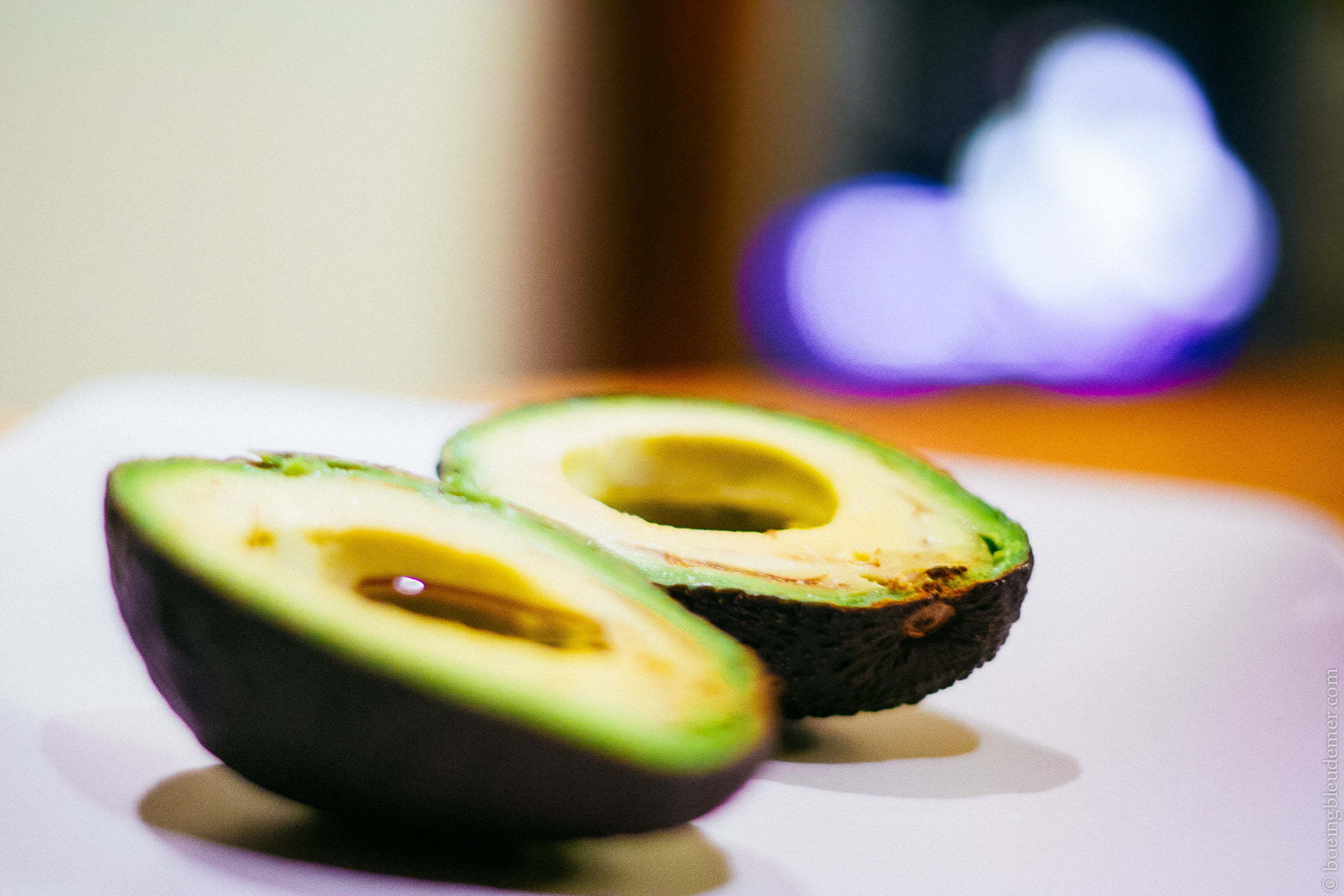 Les avocats, ceux qui se mangent