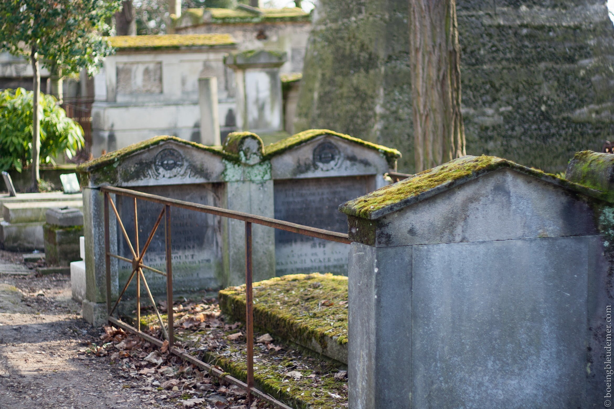 Père-Lachaise: Tombes avec de la mousse