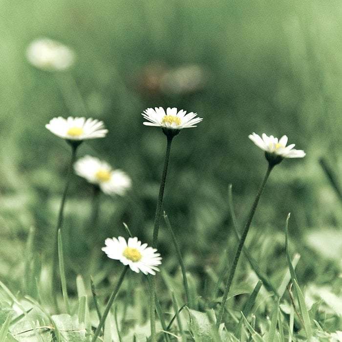 Comme un petit air de printemps