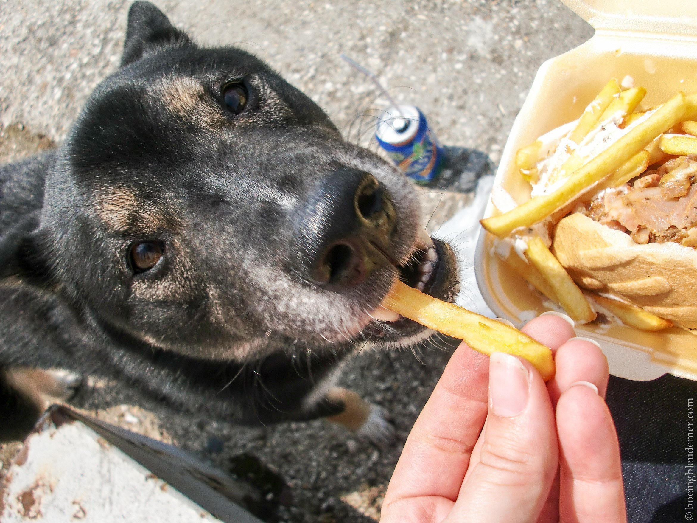 Akira mange des frites