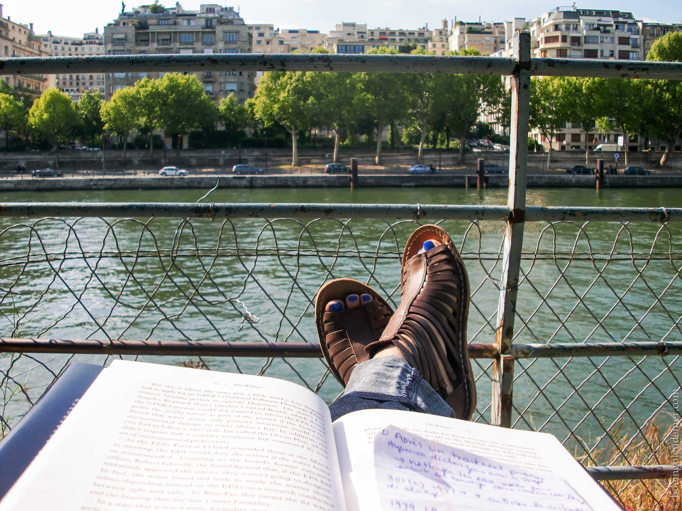 Lecture sur l'Ïle des Cygnes