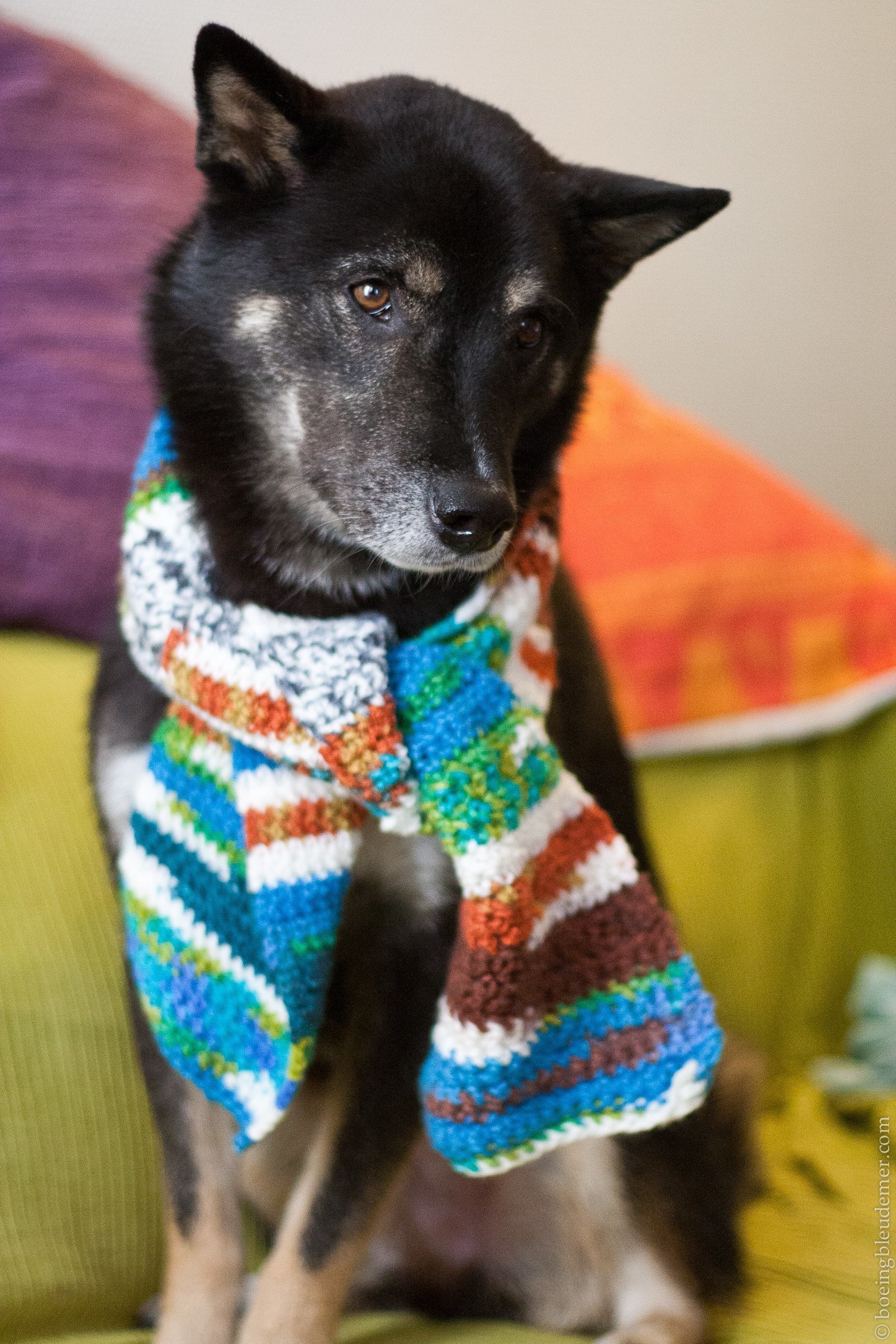 L’anniversaire du petit monstre !