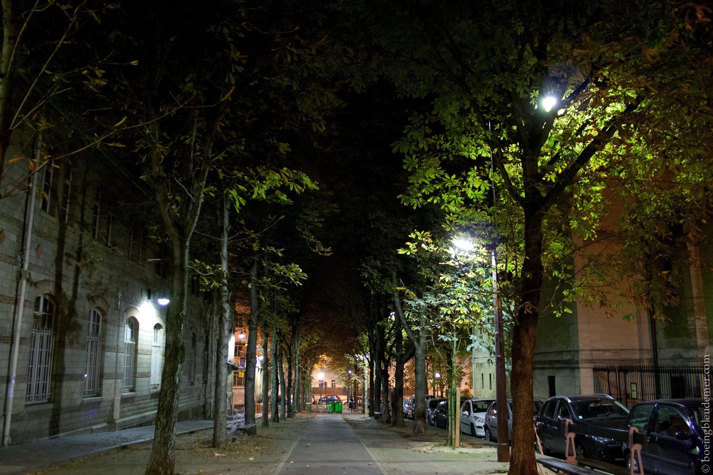 Empty Night