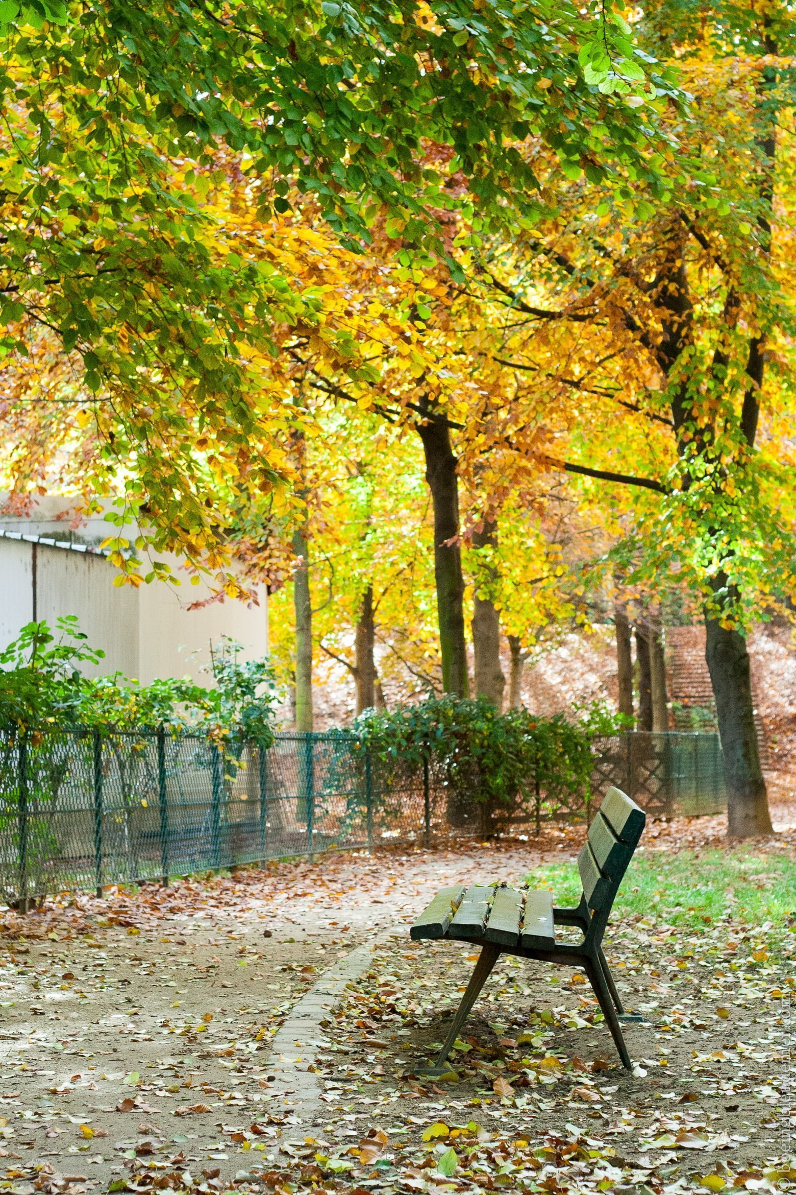 Mon Canon reprend du service