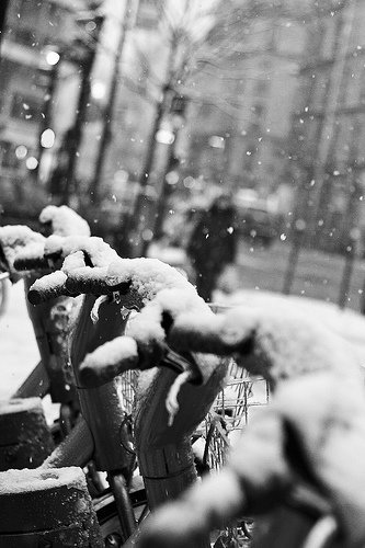 L’oiseau a quitté le nid