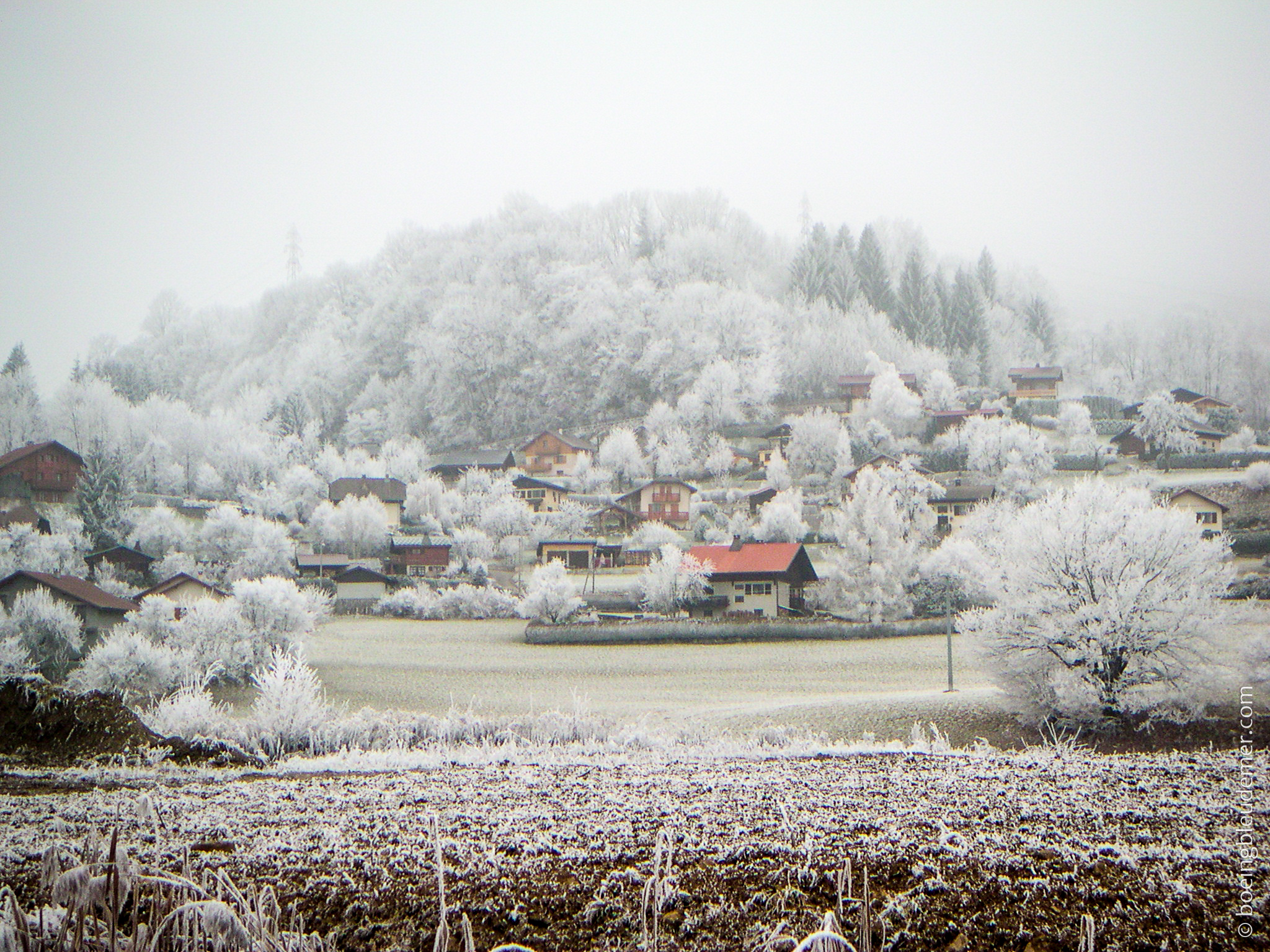 Joyeux Noël et une Bonne Année