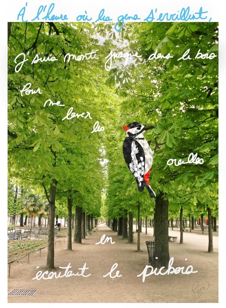 Picbois, j’veux plus m’en aller