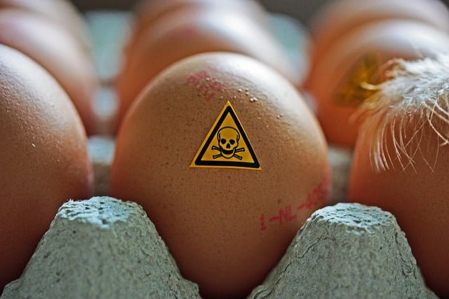 Intoxication alimentaire