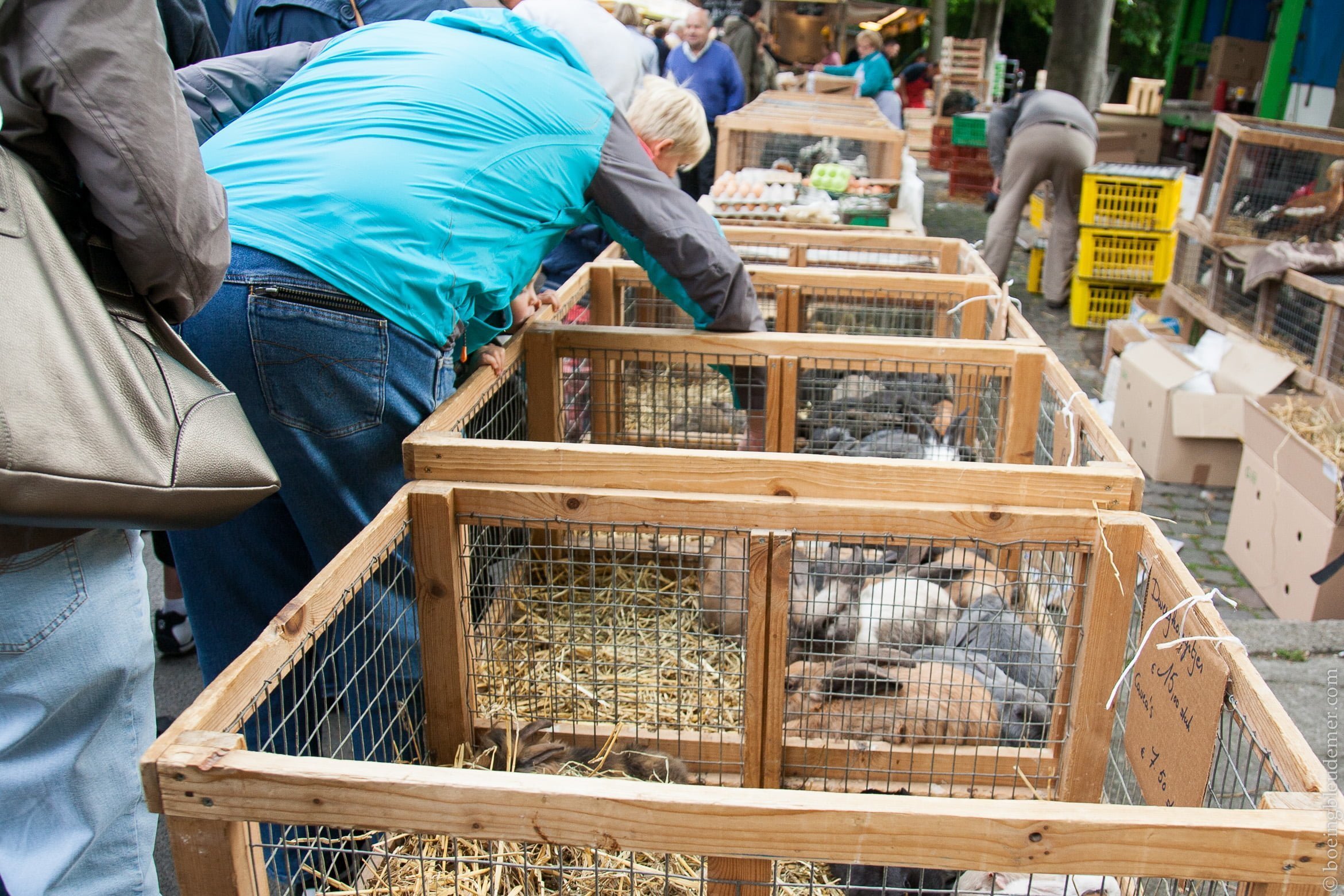 Marché de Bruges