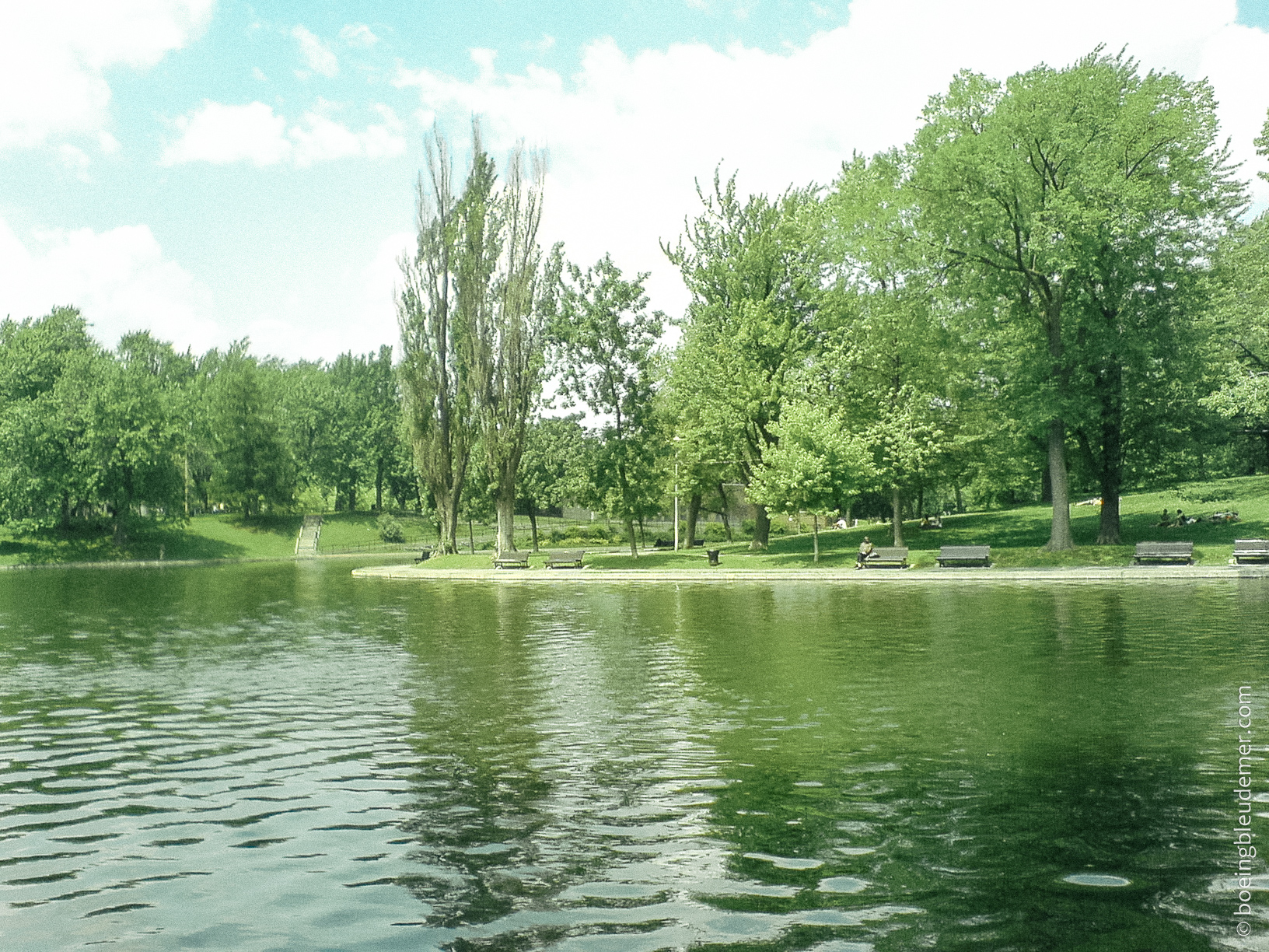 Parc Lafontaine-6