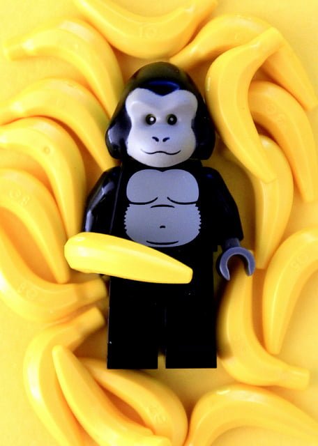 Monkey Beauty