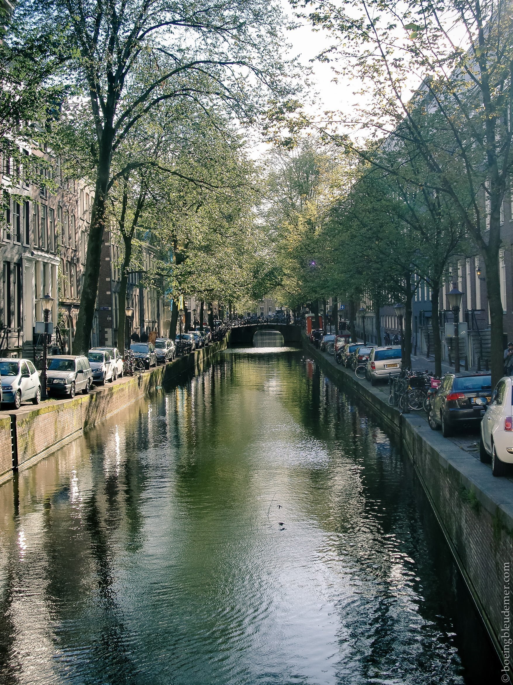 Pays Bas-8