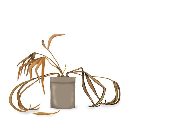 Les jours raccourcissent