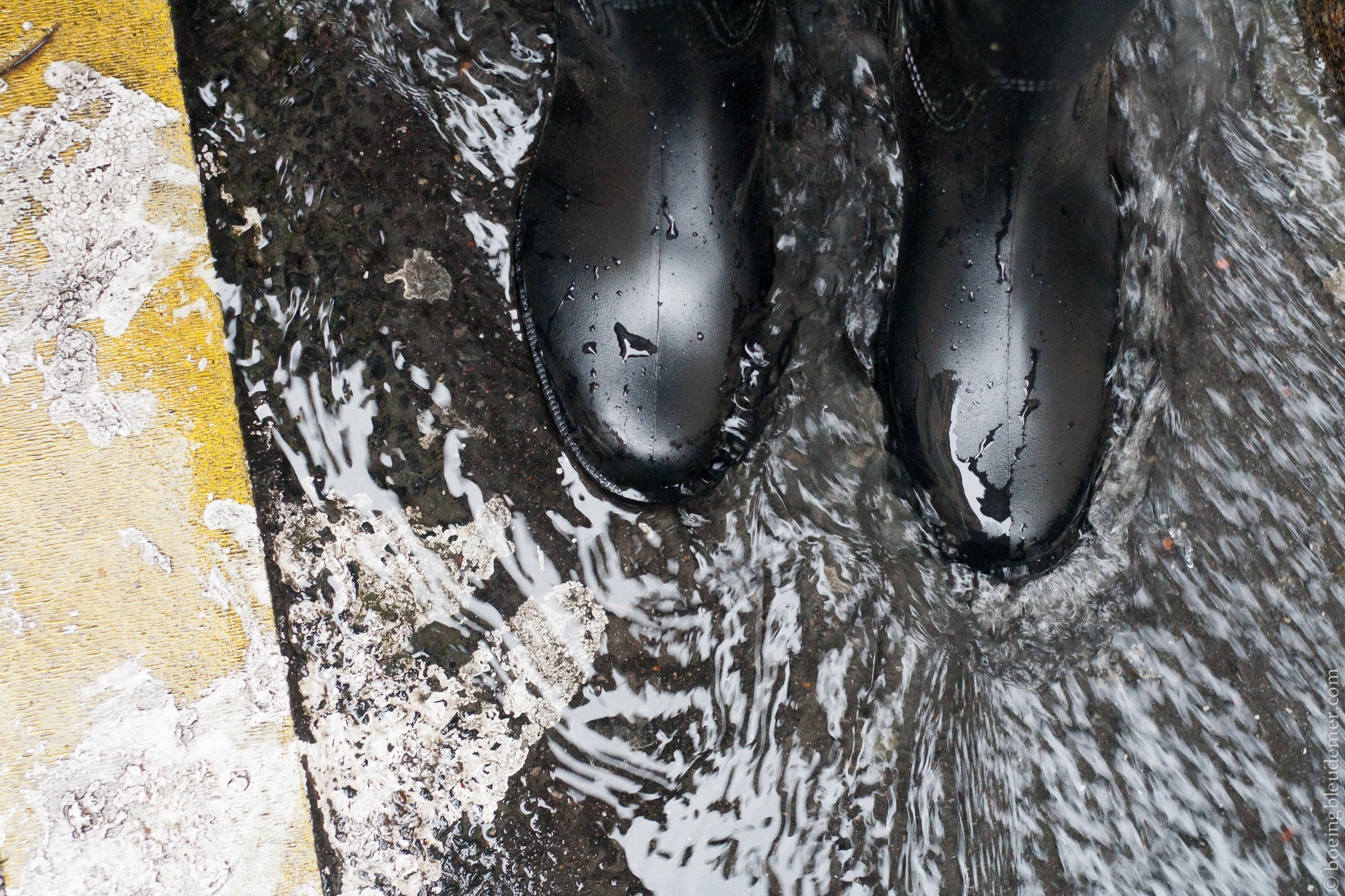 Week-end de grenouilles