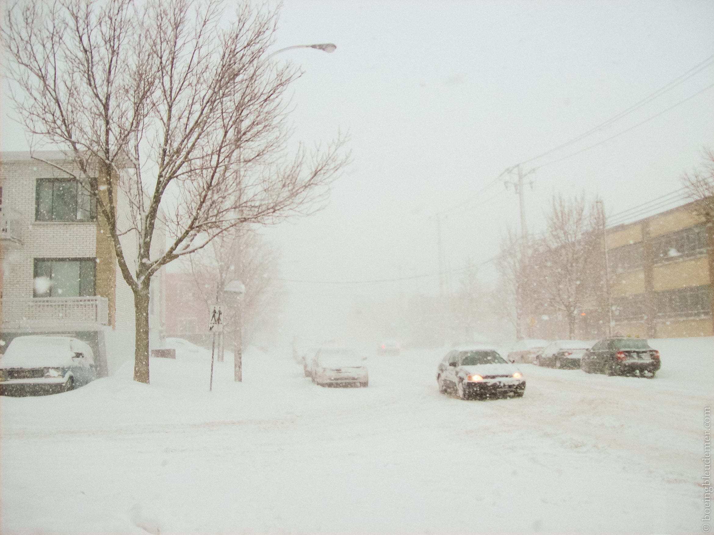 Tempête de neige à Ville d'Anjou