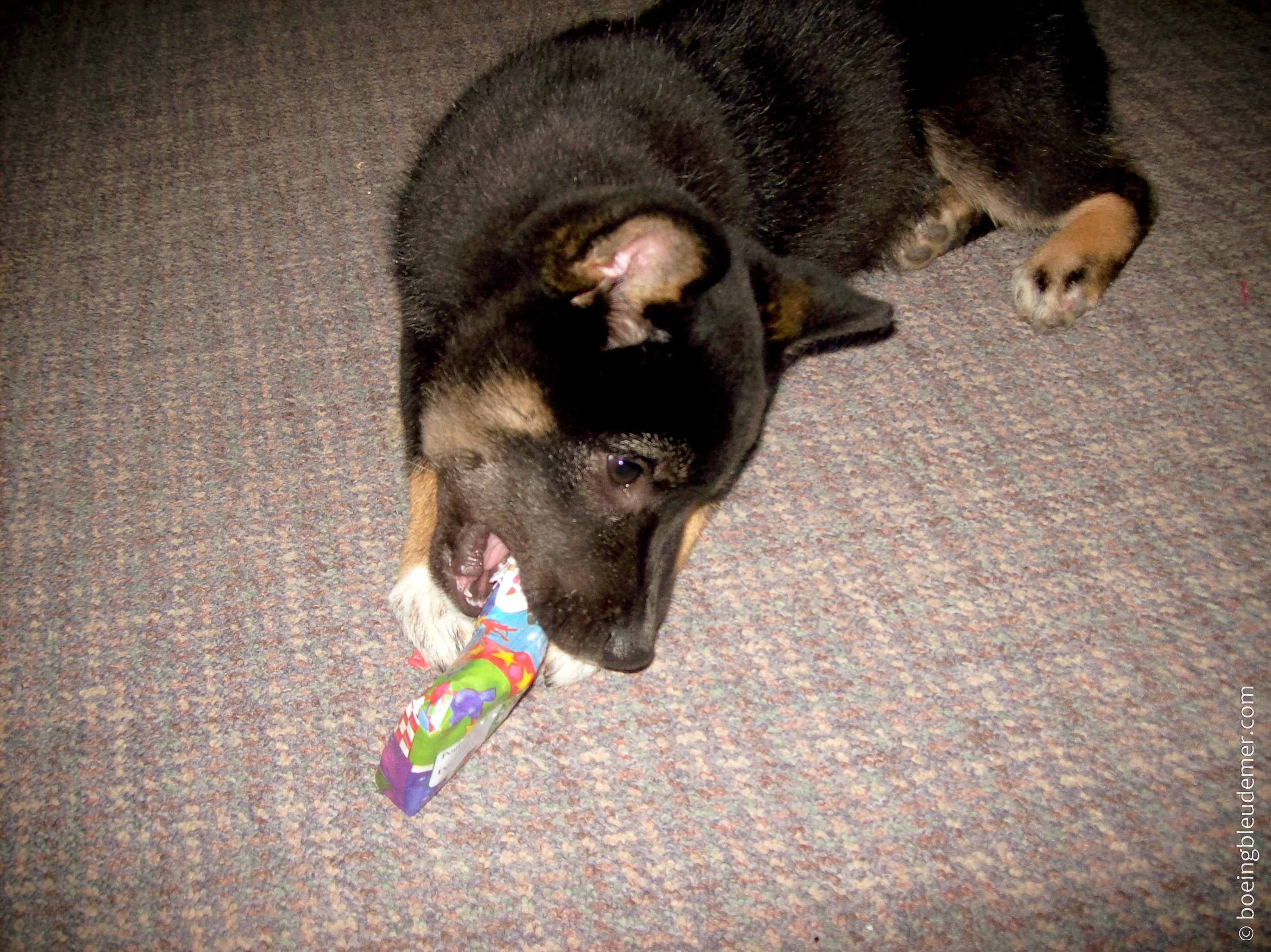 C&rsquo;est qui qui va avoir un cadeau?