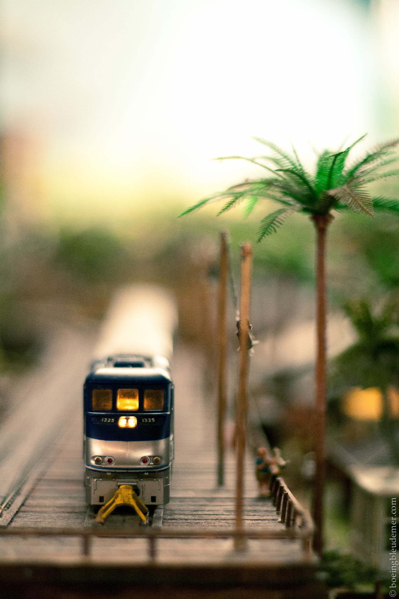 20100812-_MG_0301