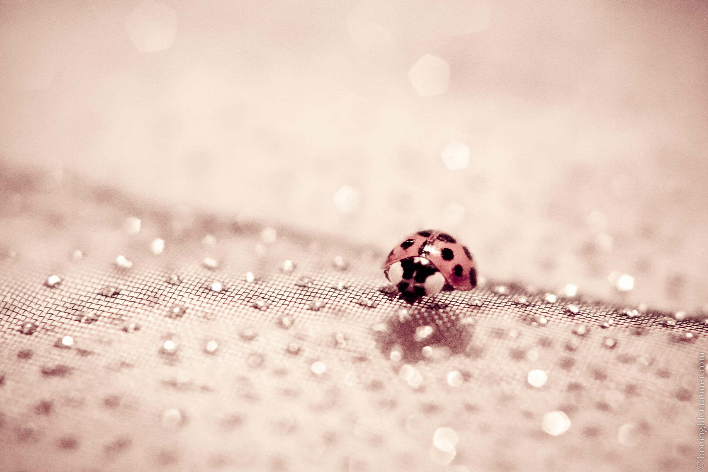 [Janvier] Bulles