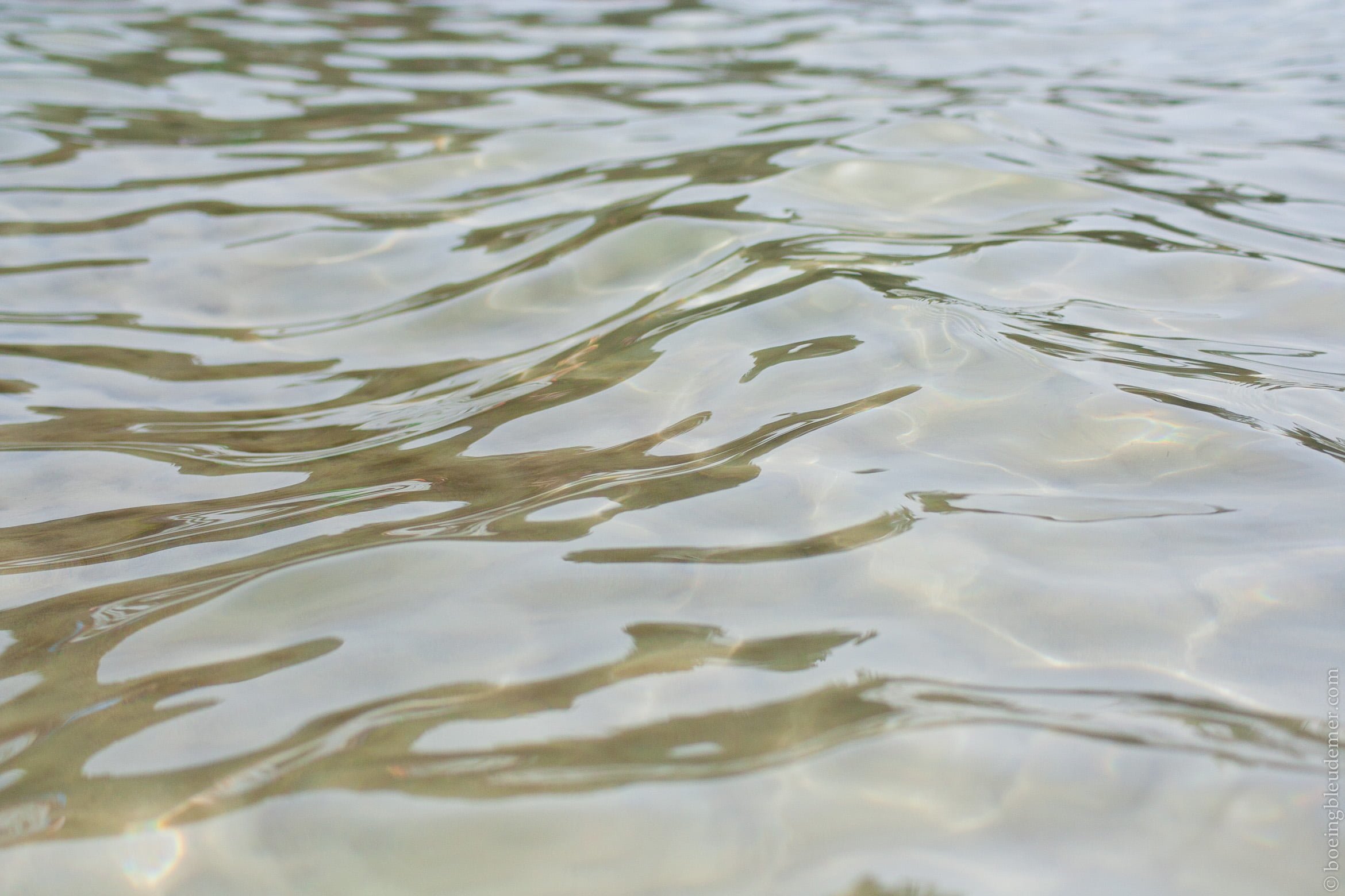 Radisson Blu Ajaccio Bay-4969