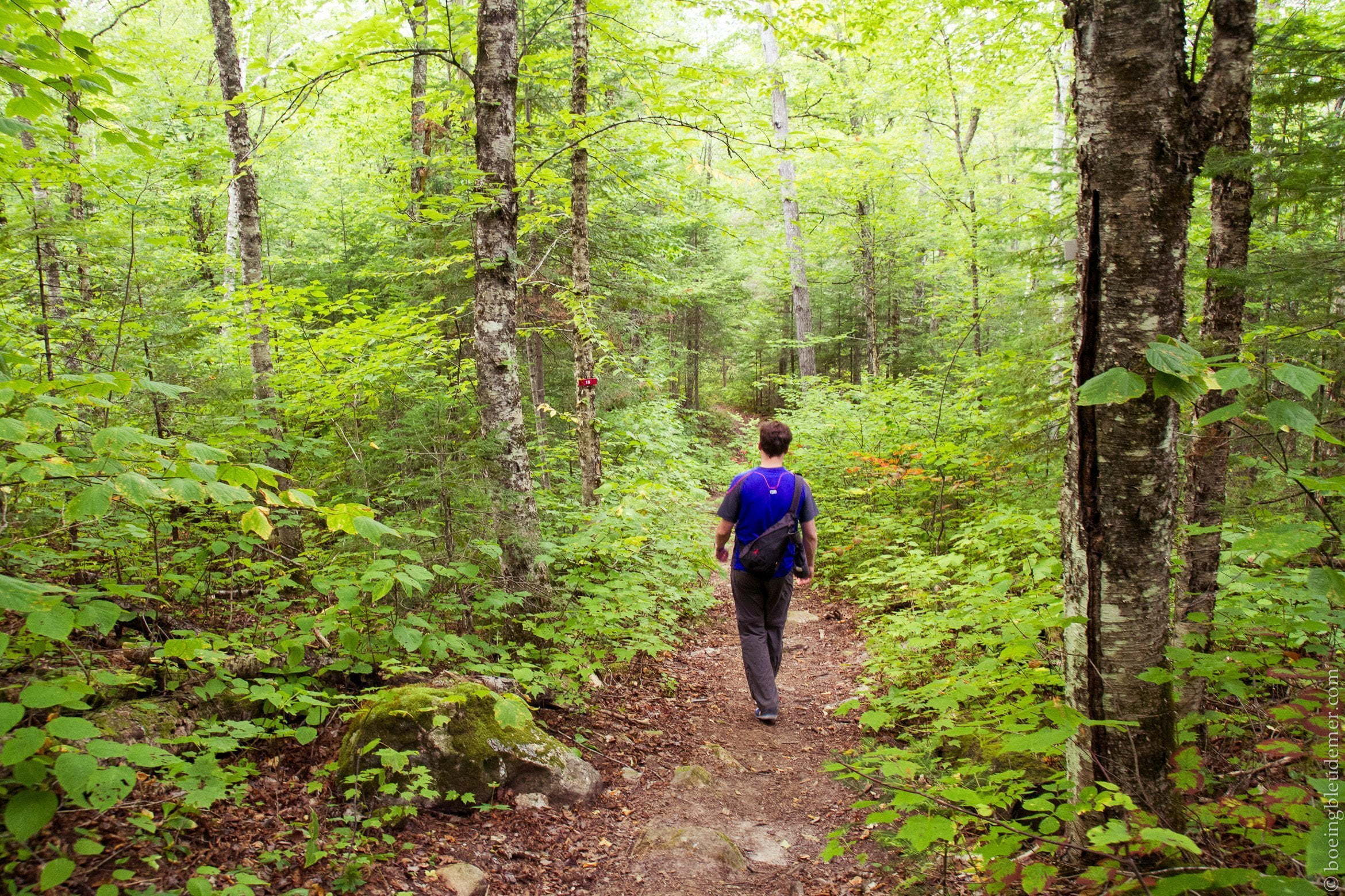 Parce qu&rsquo;il faut bien rentrer un jour