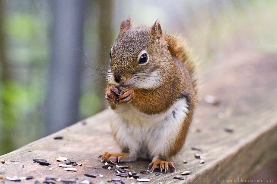 Québécoise à Paris – Tout sur ma vie d&rsquo;expatriée