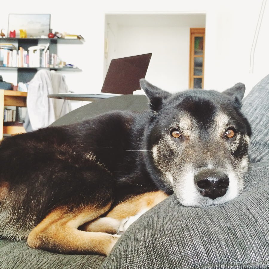 Processed with VSCOcam with f3 preset