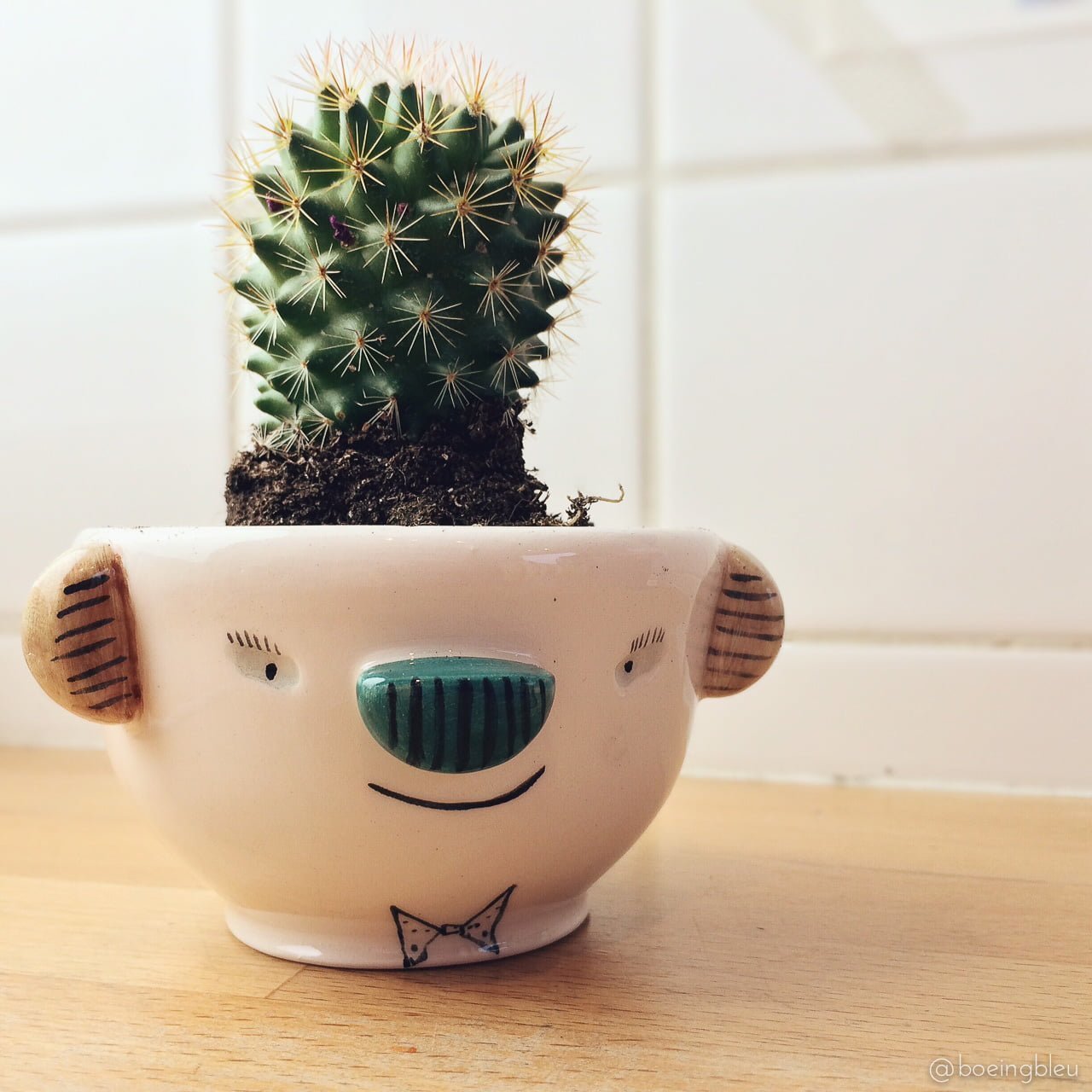 Céramique Viruset Studio Viruset Studio