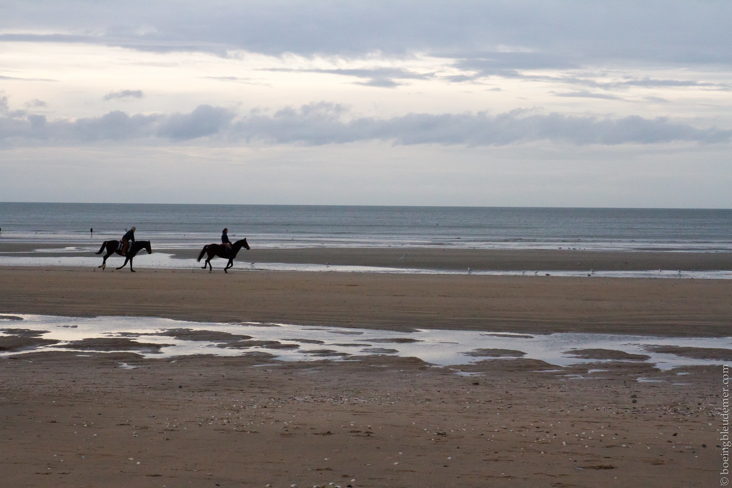 Un weekend à Deauville: des cavaliers