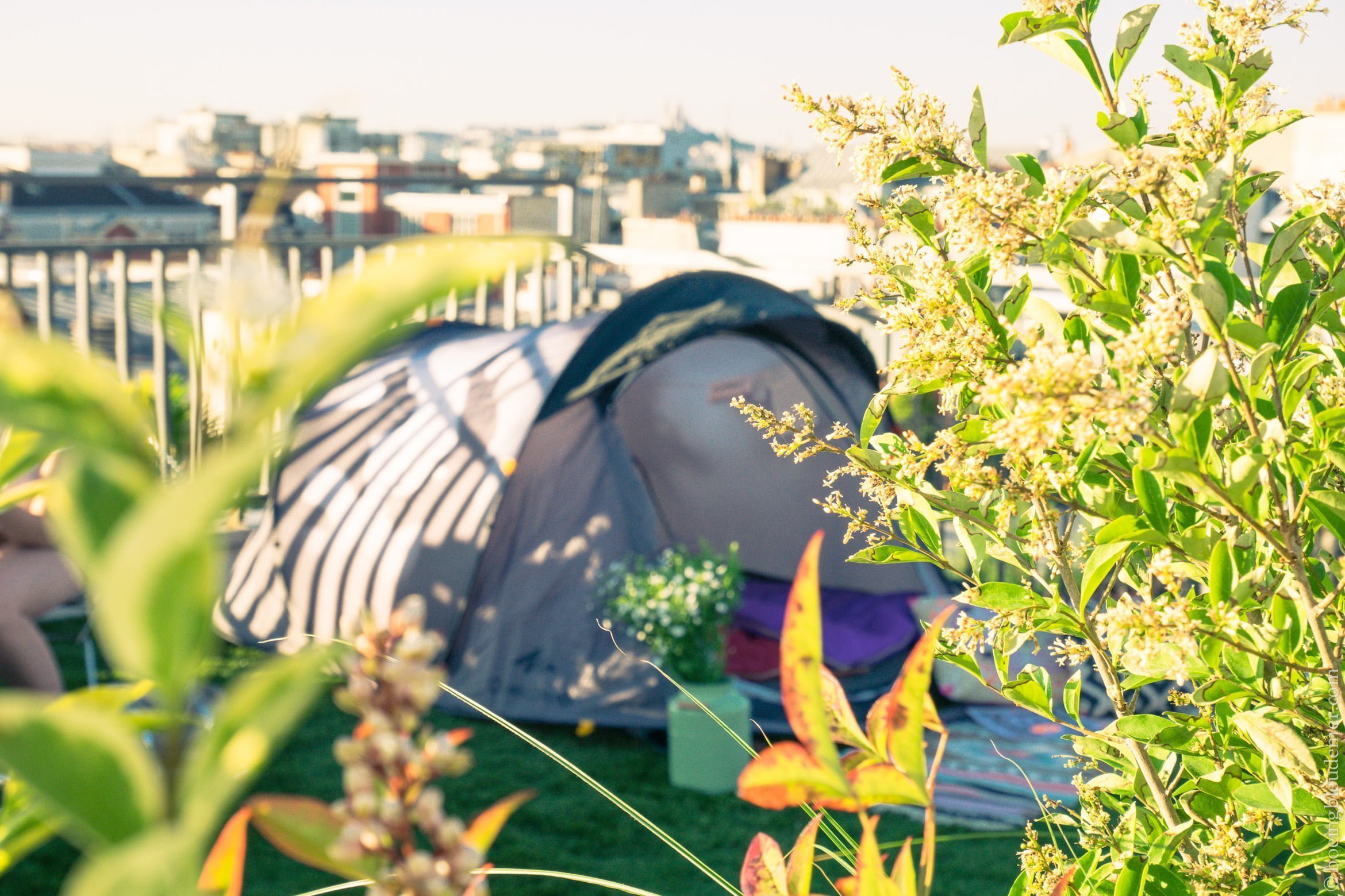 La campagne à la ville