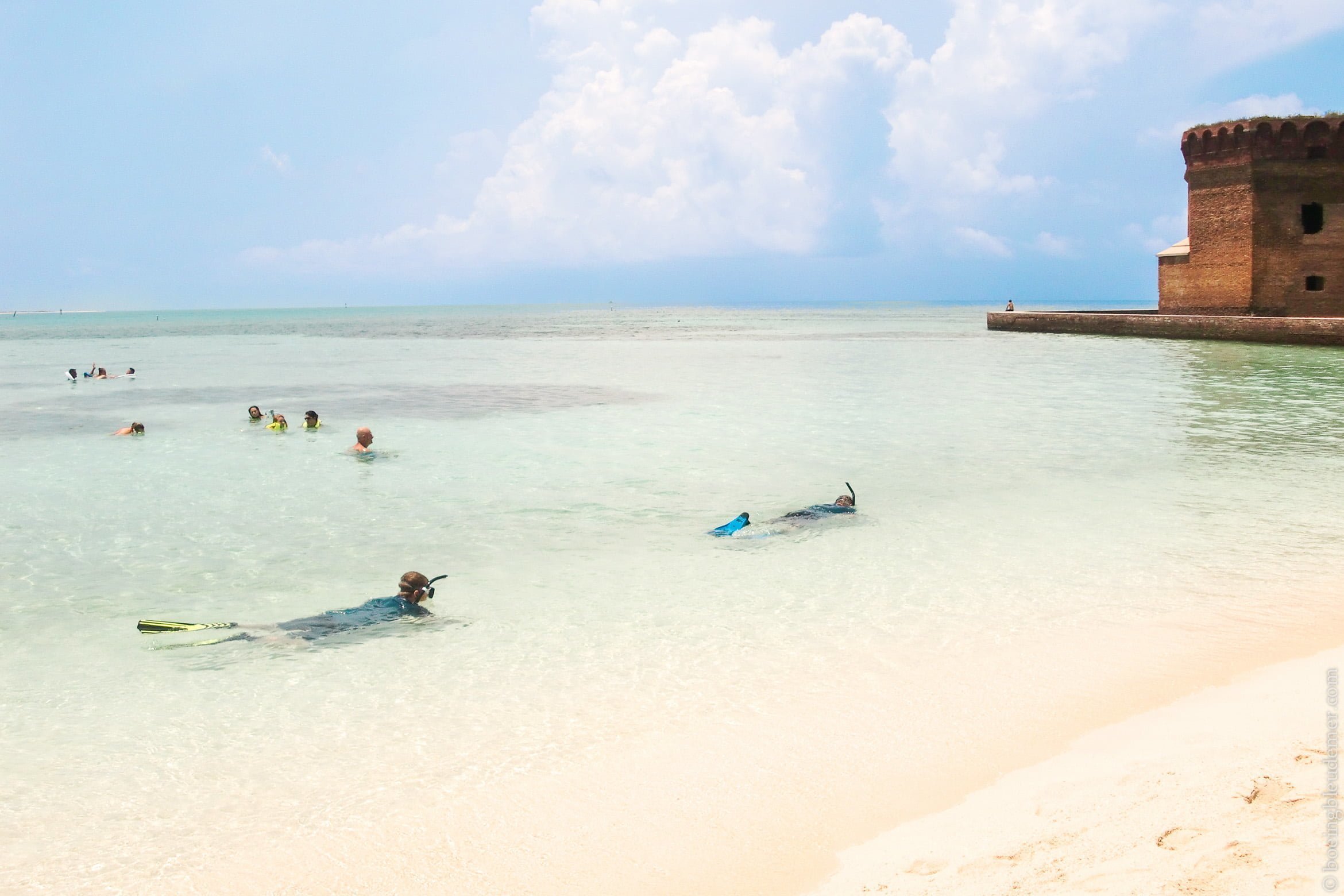 Snorkelling at Dry Tortugas