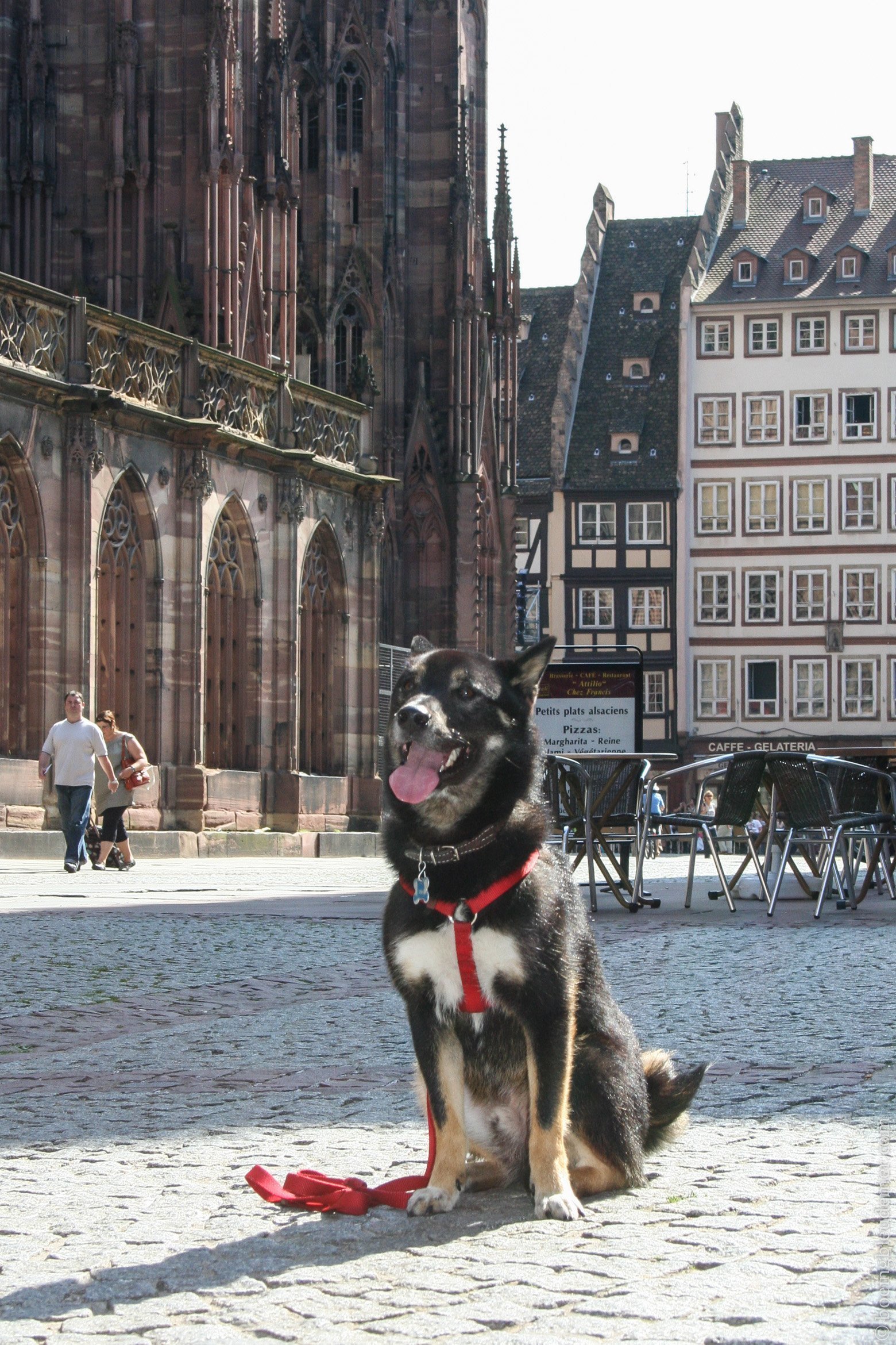 Akira à Strasbourg