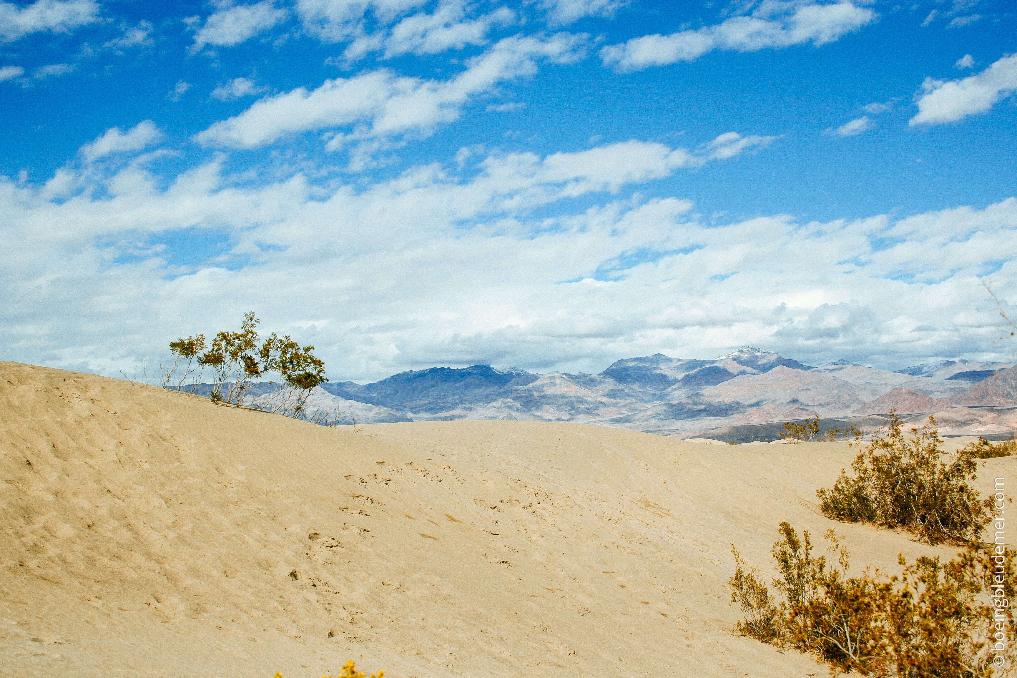 Désert américain visité en 2009