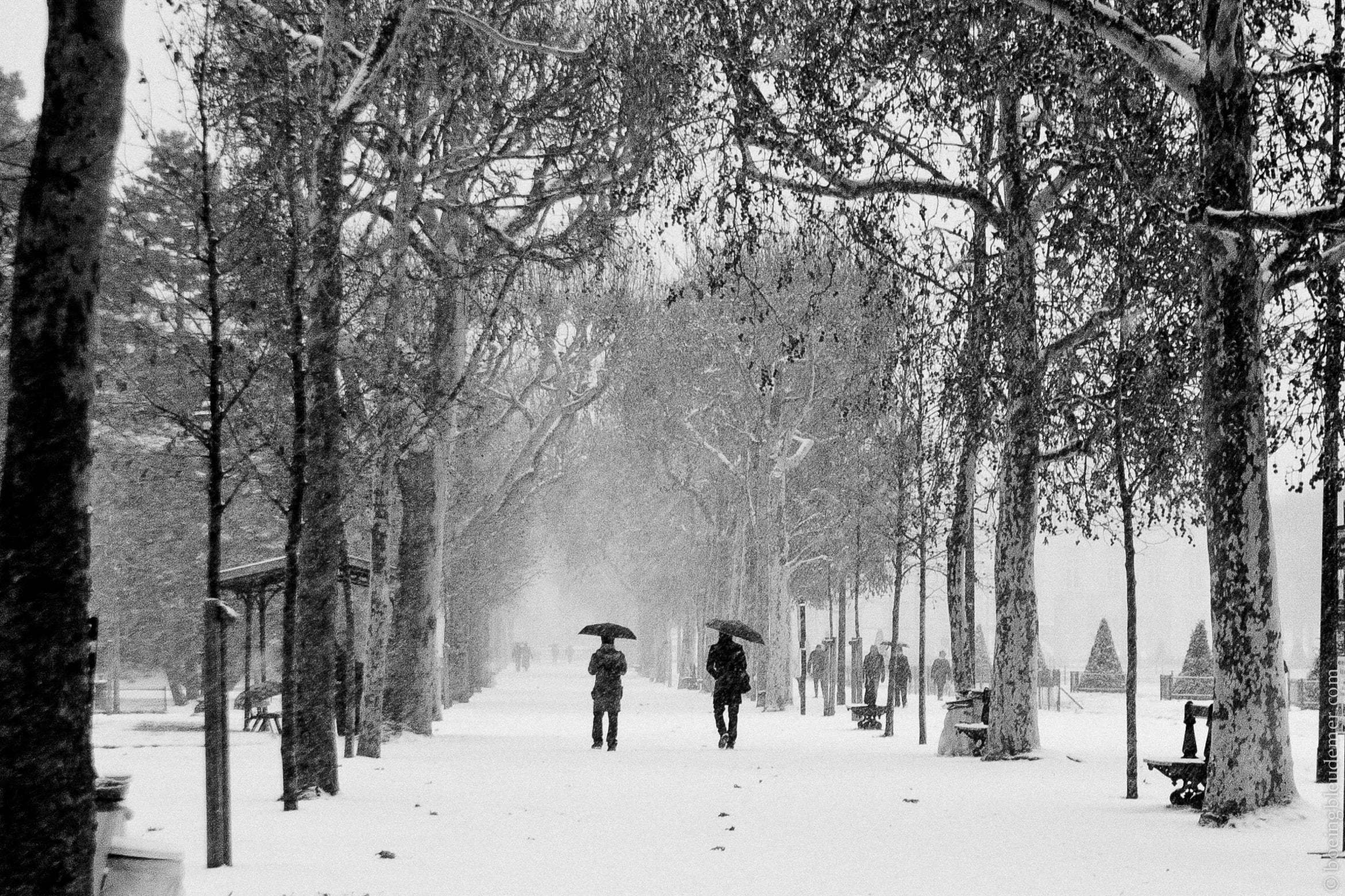 Il a neigé sur Paris: promeneurs au Champ-de-Mars