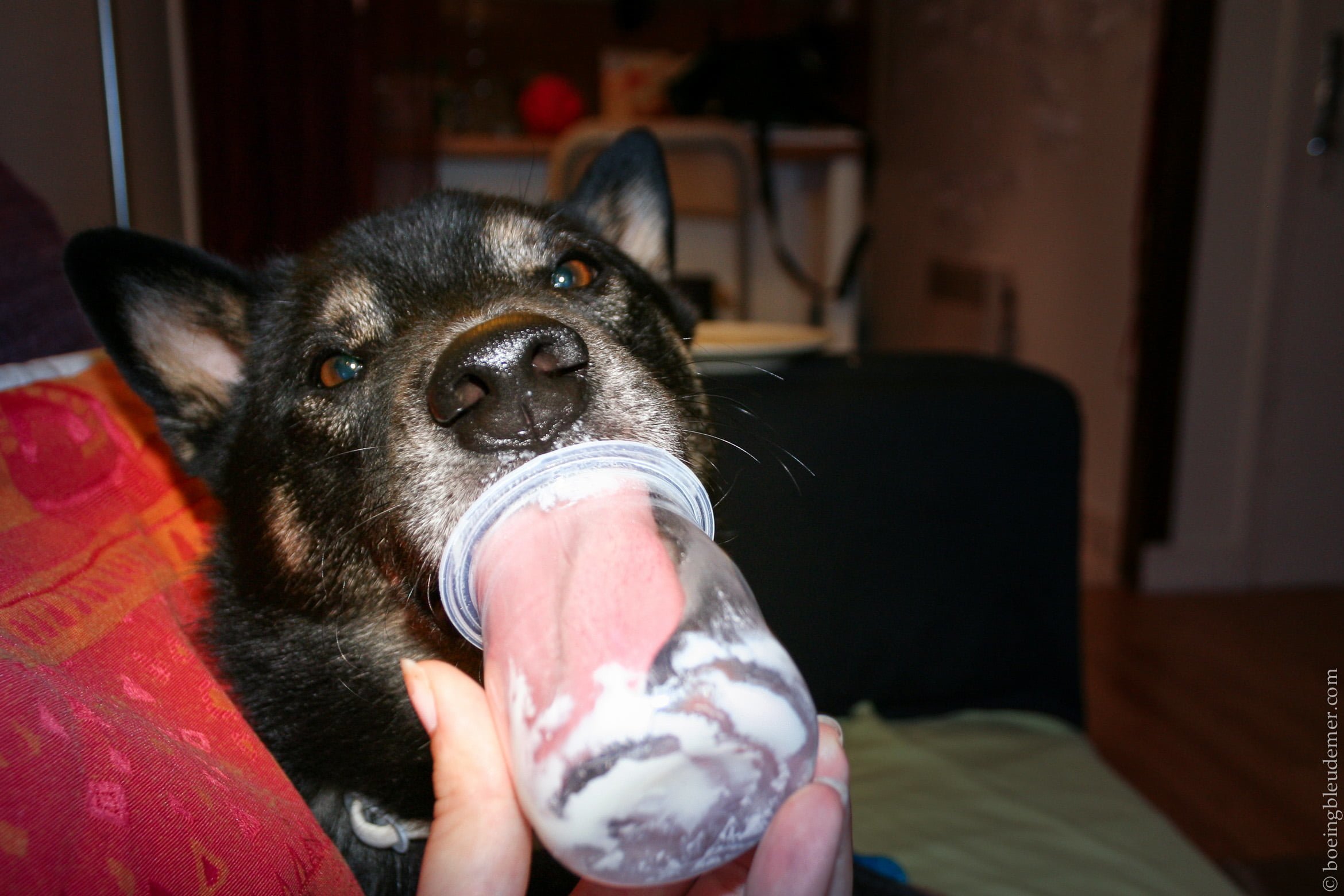 Paris versus Montréal : on ne dit pas …