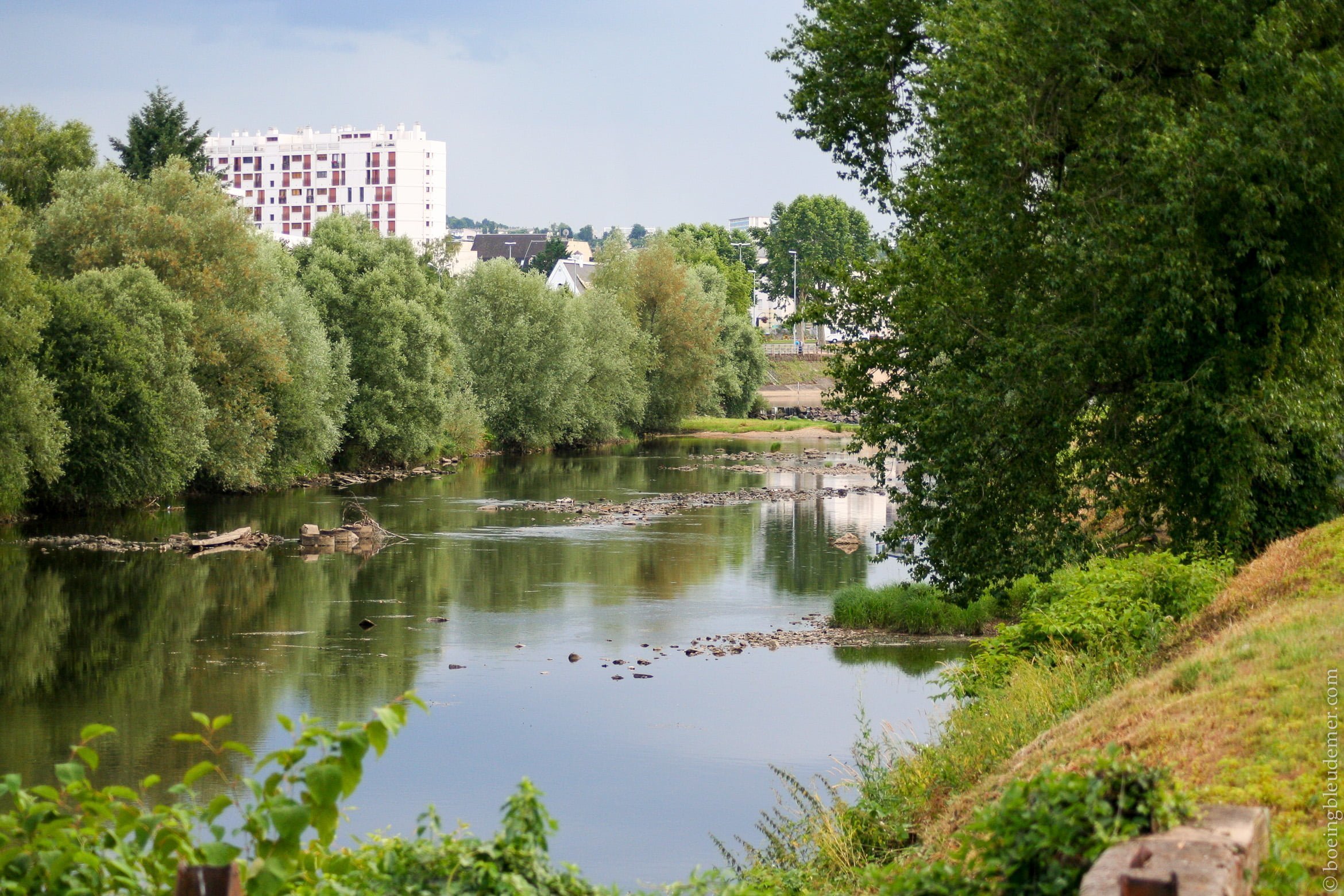 Rencontre Shiba Inu - Parc au bord du Cher