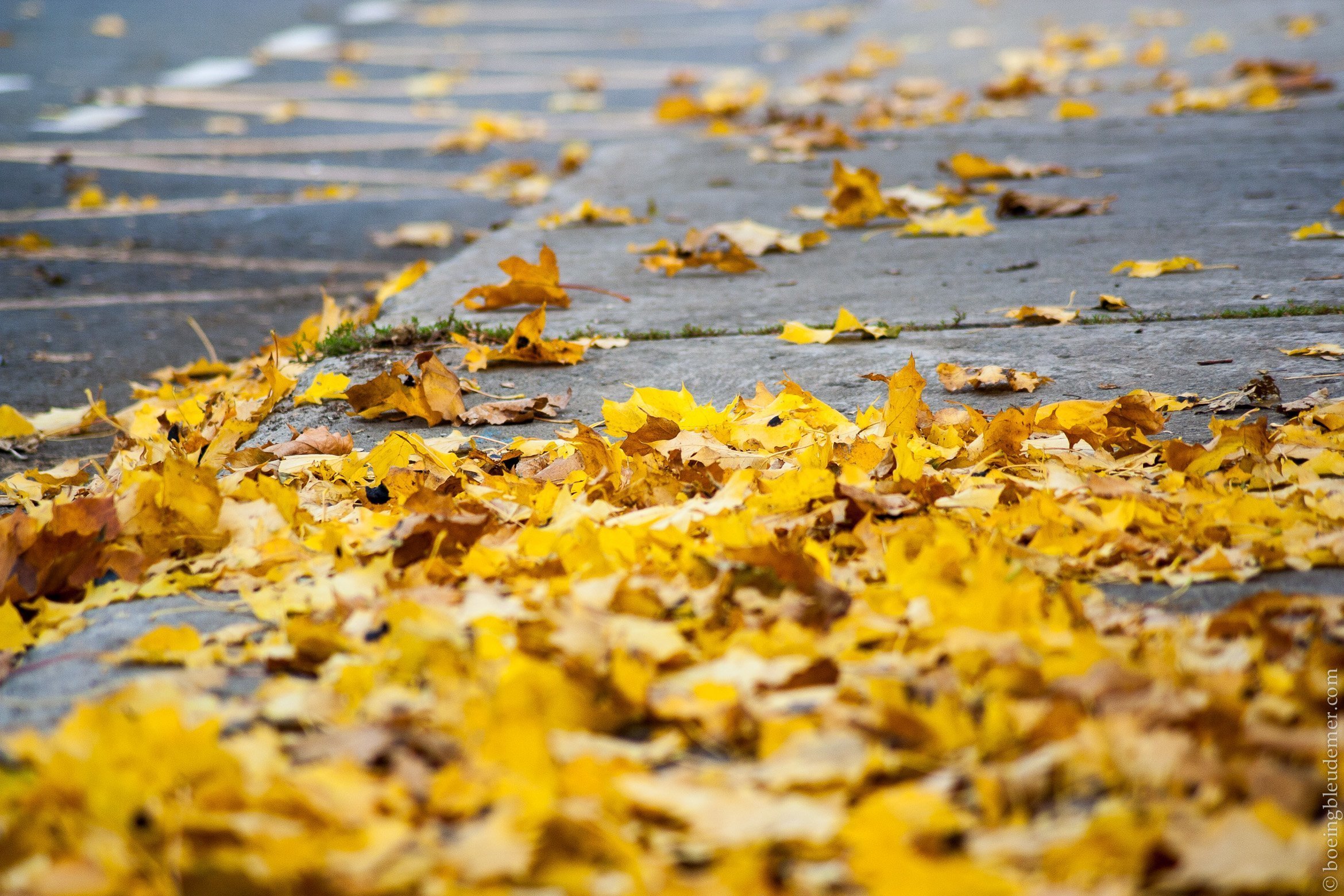 Retour de vacances boulimiques à Montréal