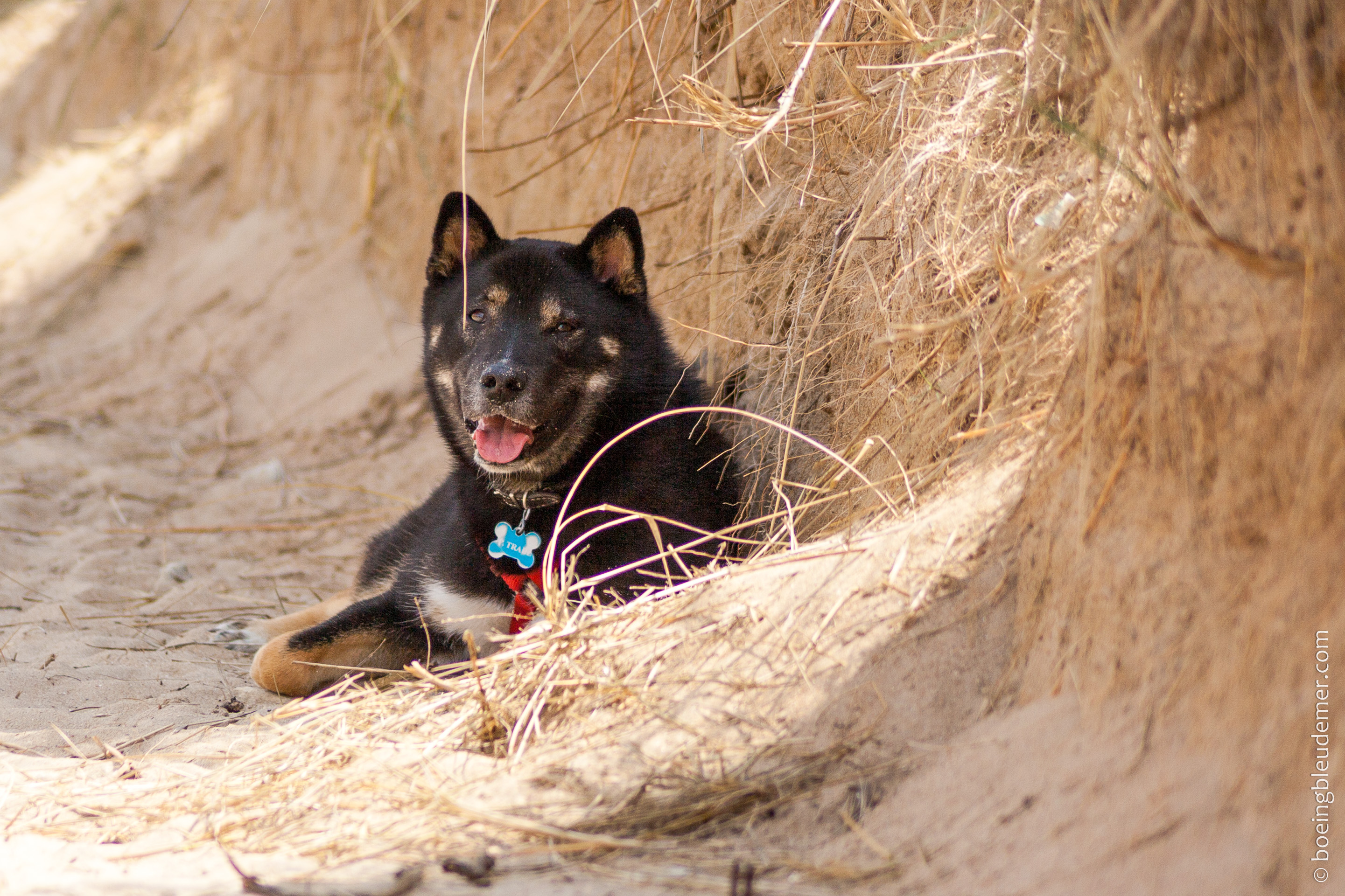 Week-end de camping en Normandie : plage naturelle