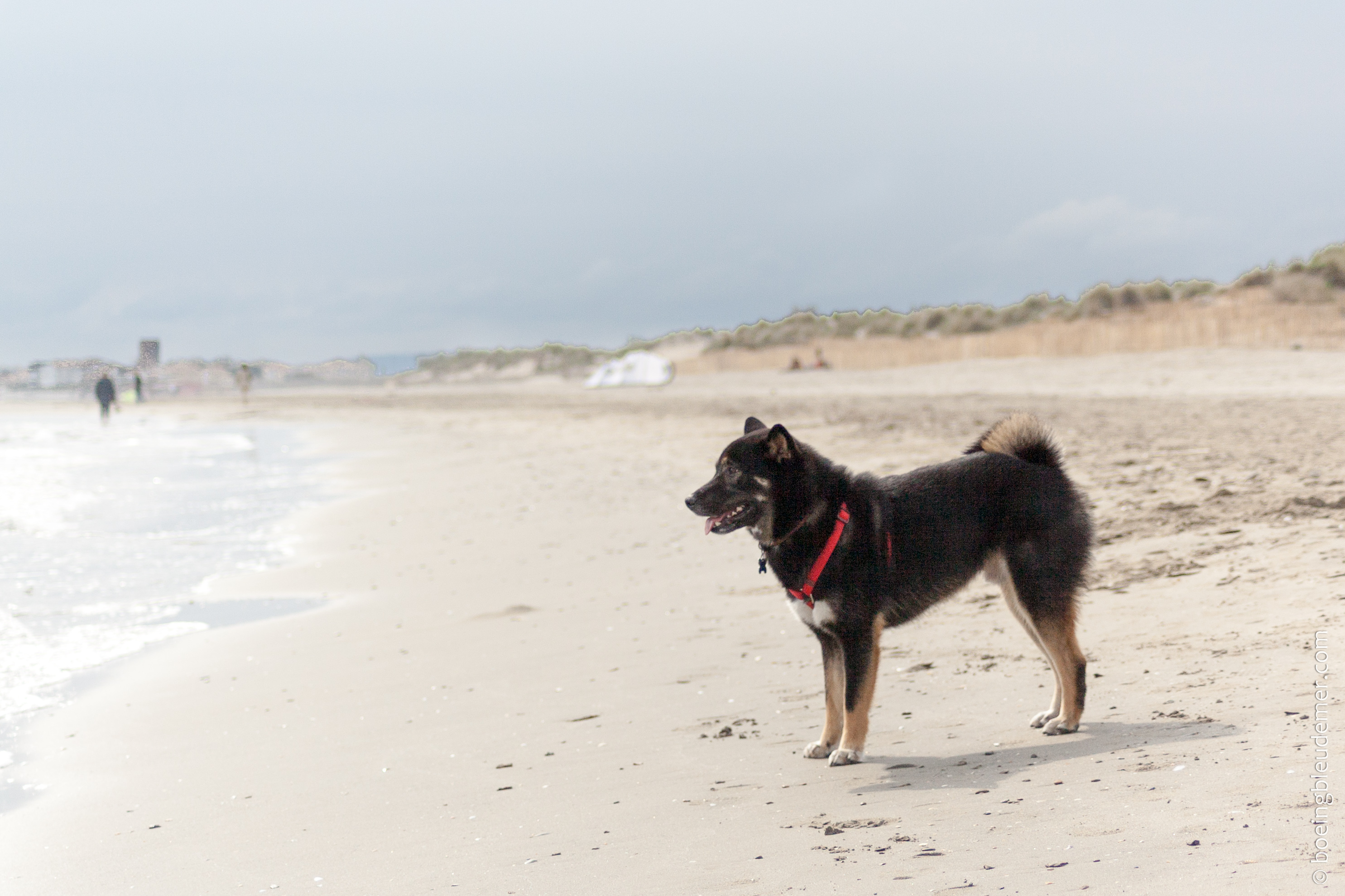 Les vacances universitaires