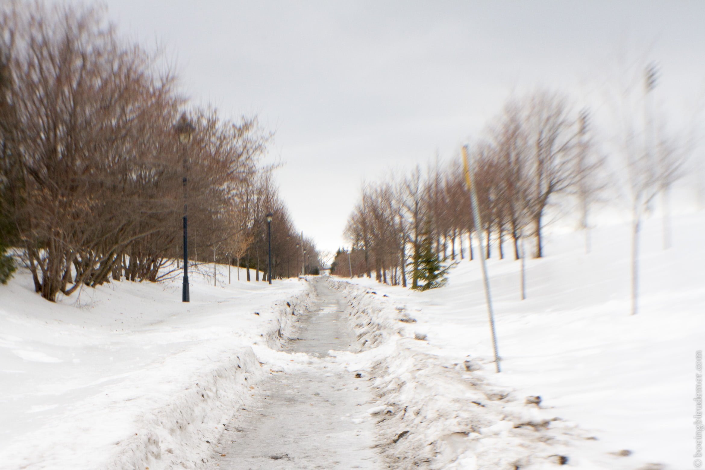 Sentier de neige, Anjou