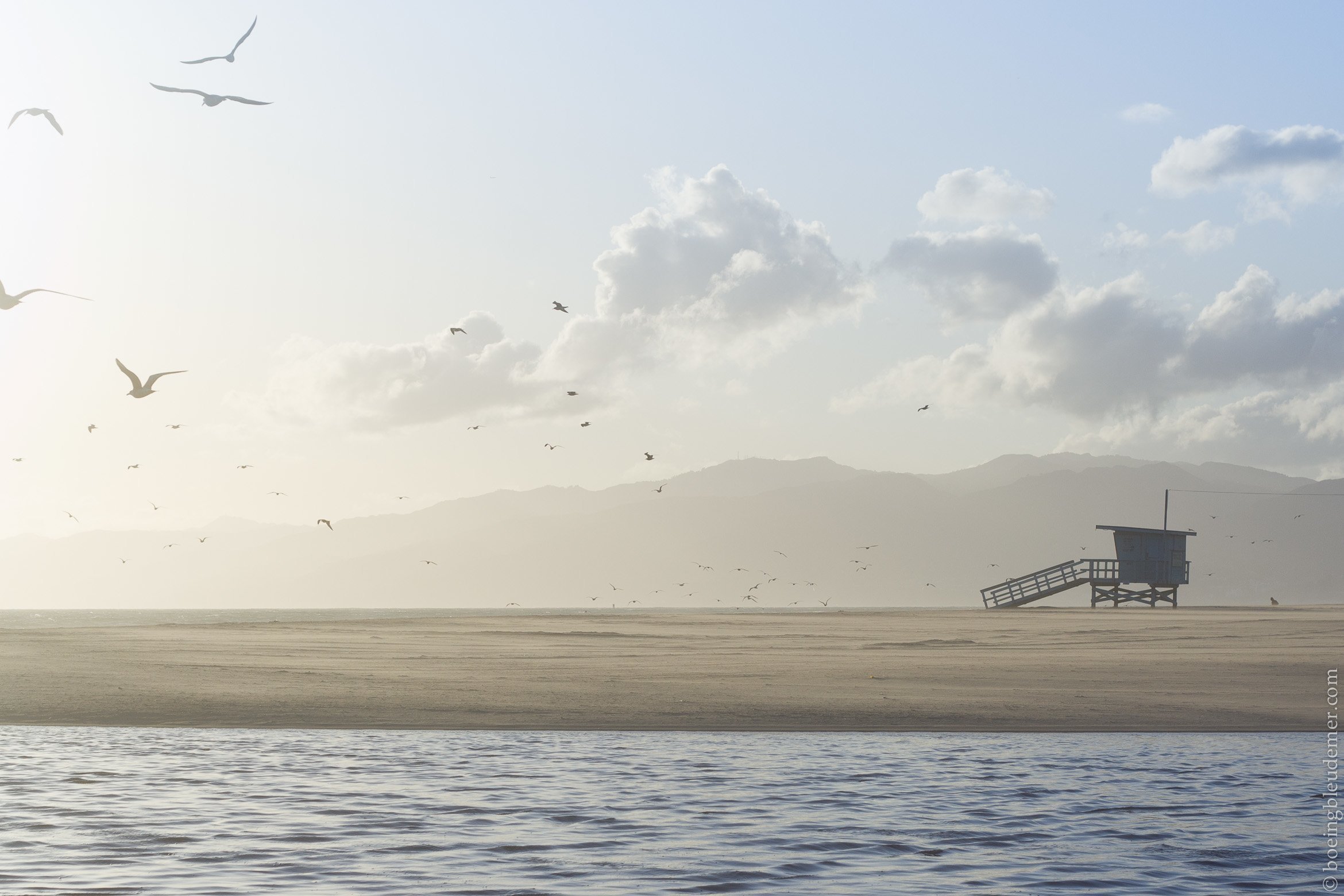 La vie me traite bien