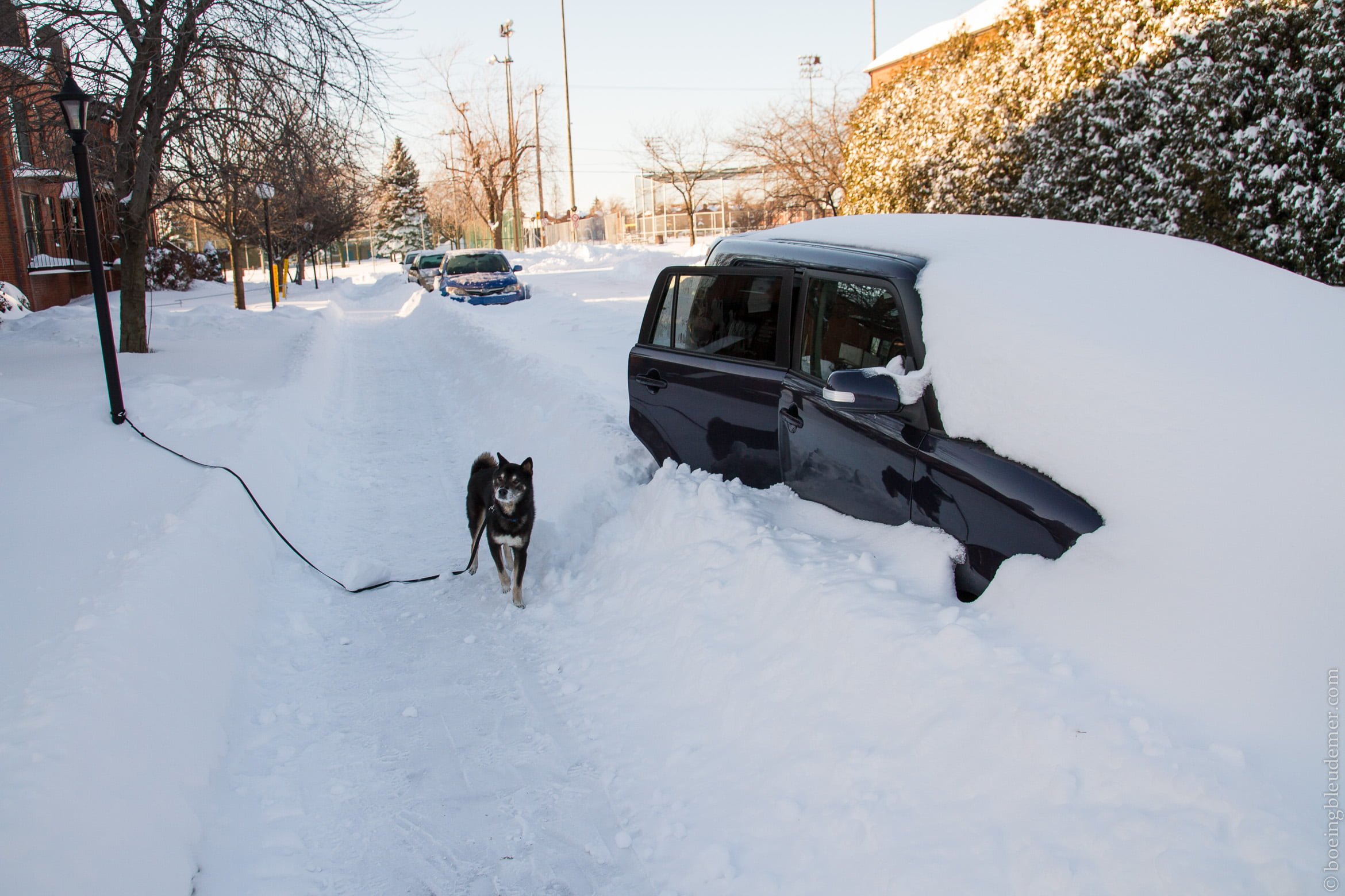 Ma voiture ensevlie dans la neige, Montréal
