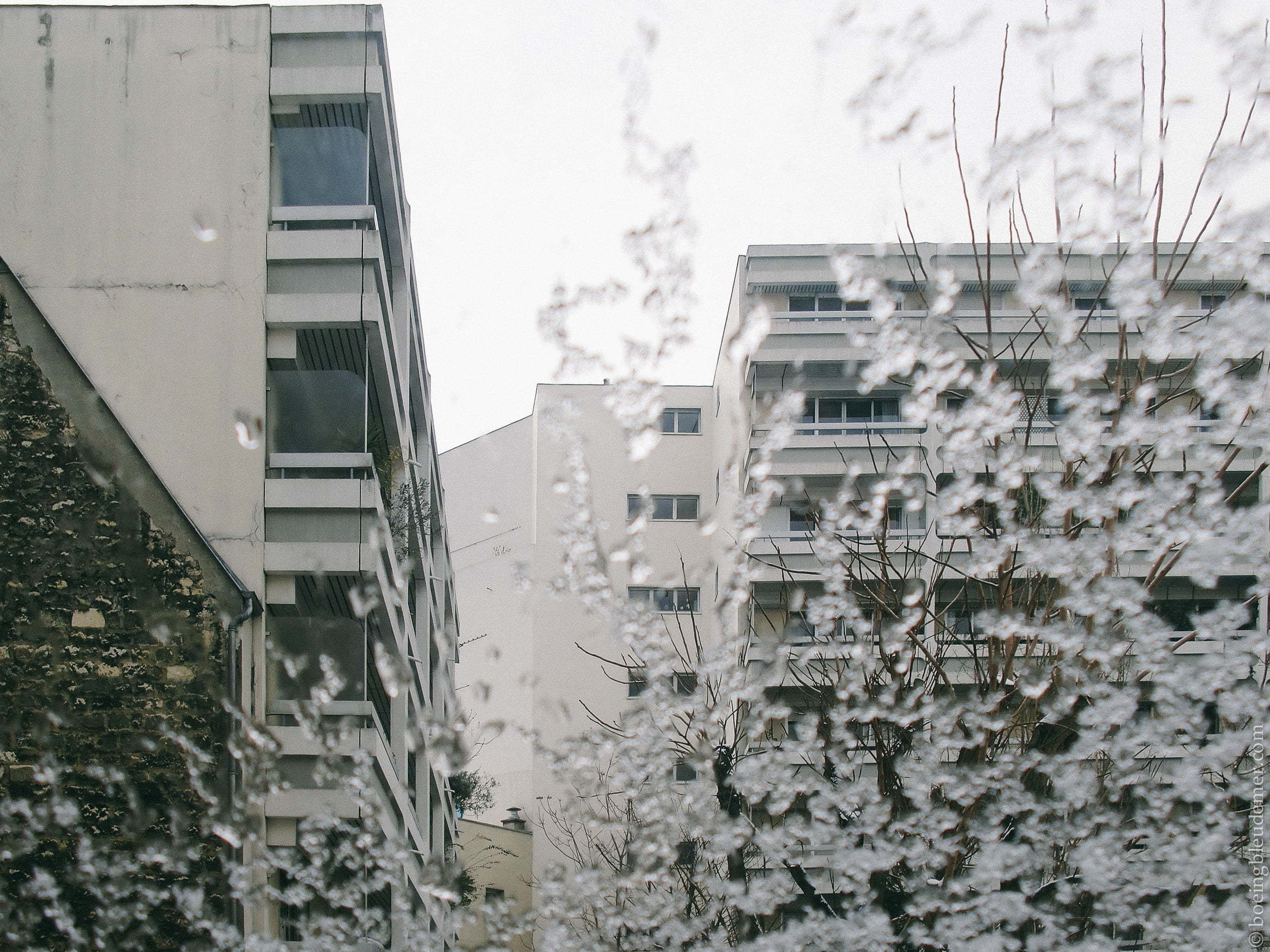 Le froid ou le chaud [Février]