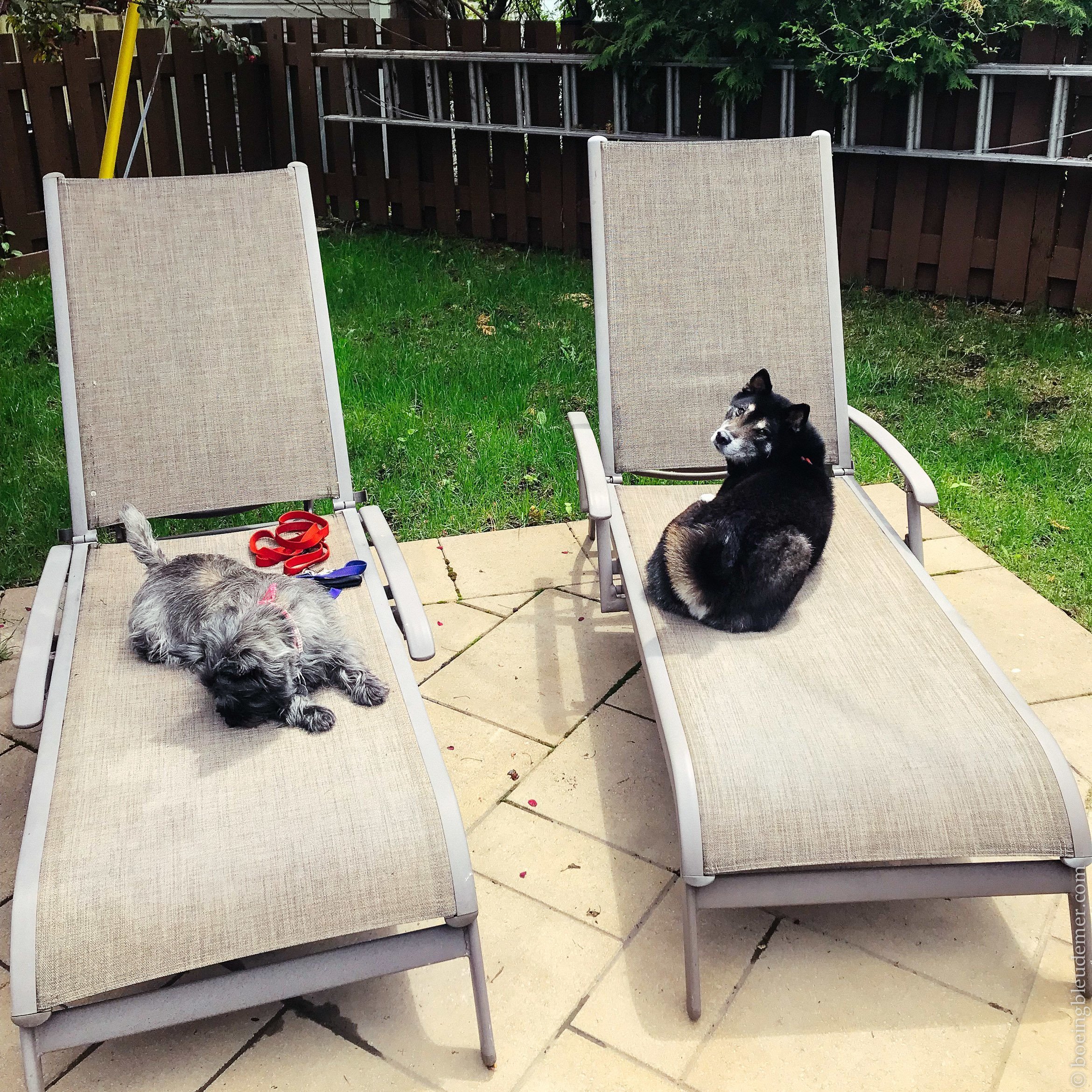 Akira et Flavie au bronzage